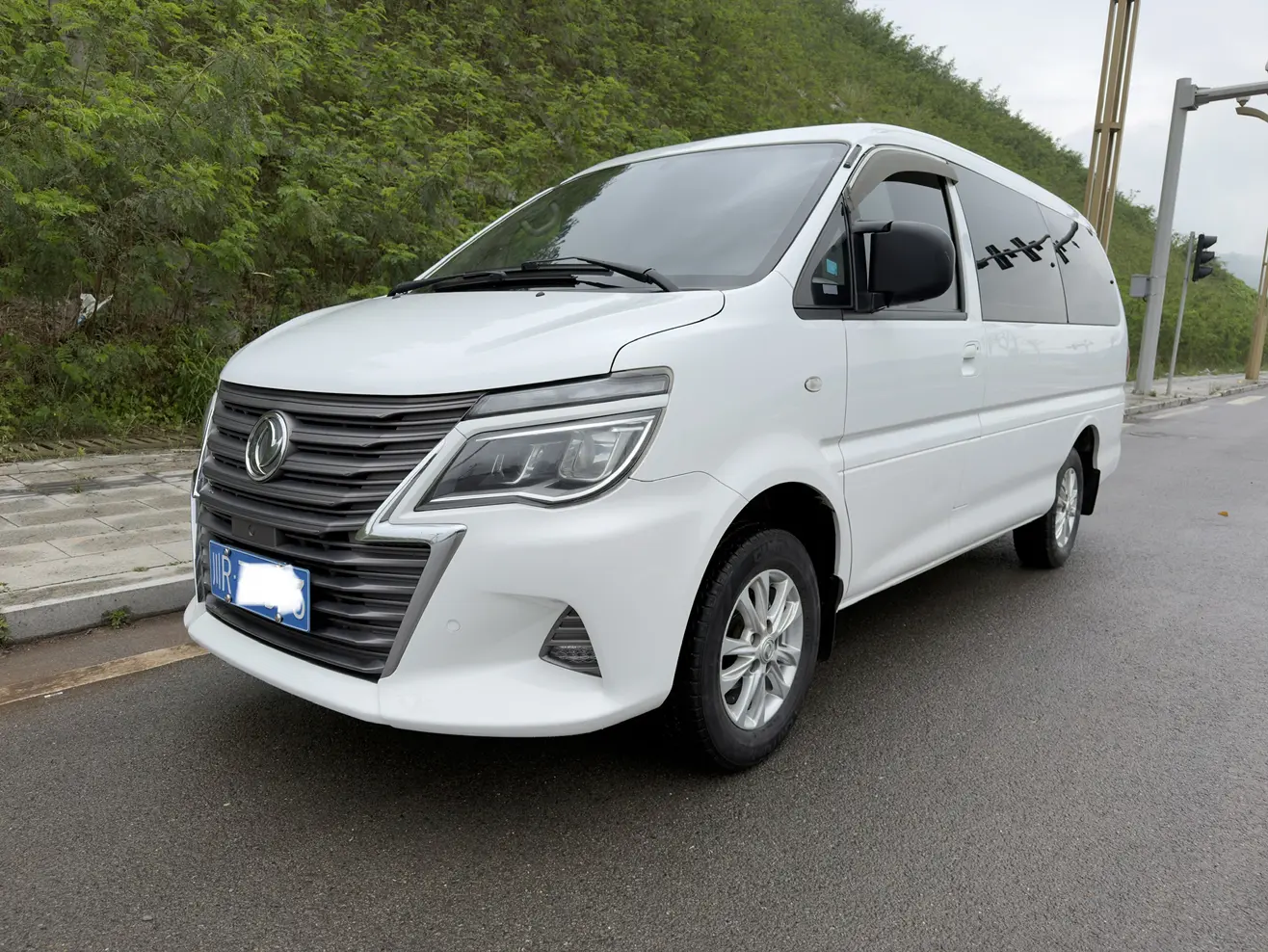 Forthing Lingzhi