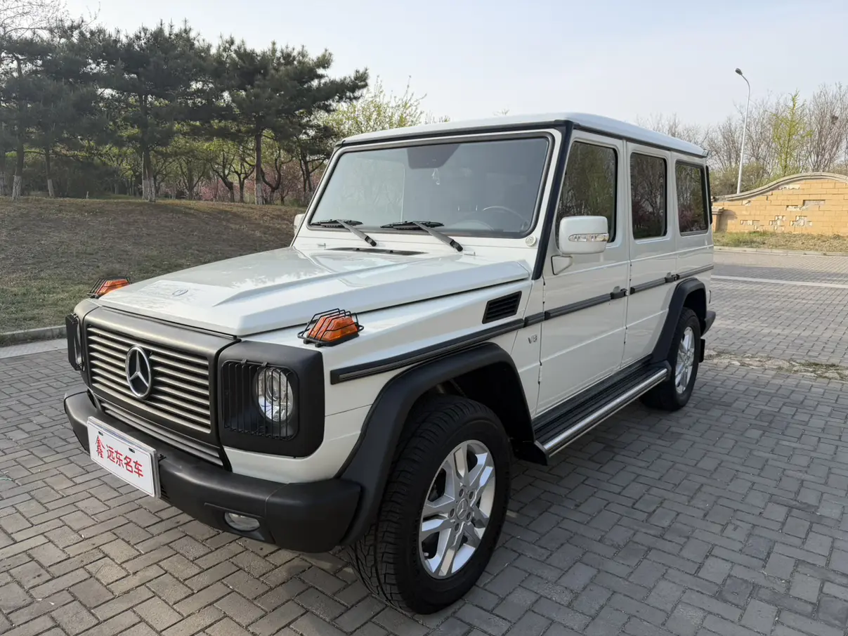 Mercedes-Benz Mercedes Benz G Class