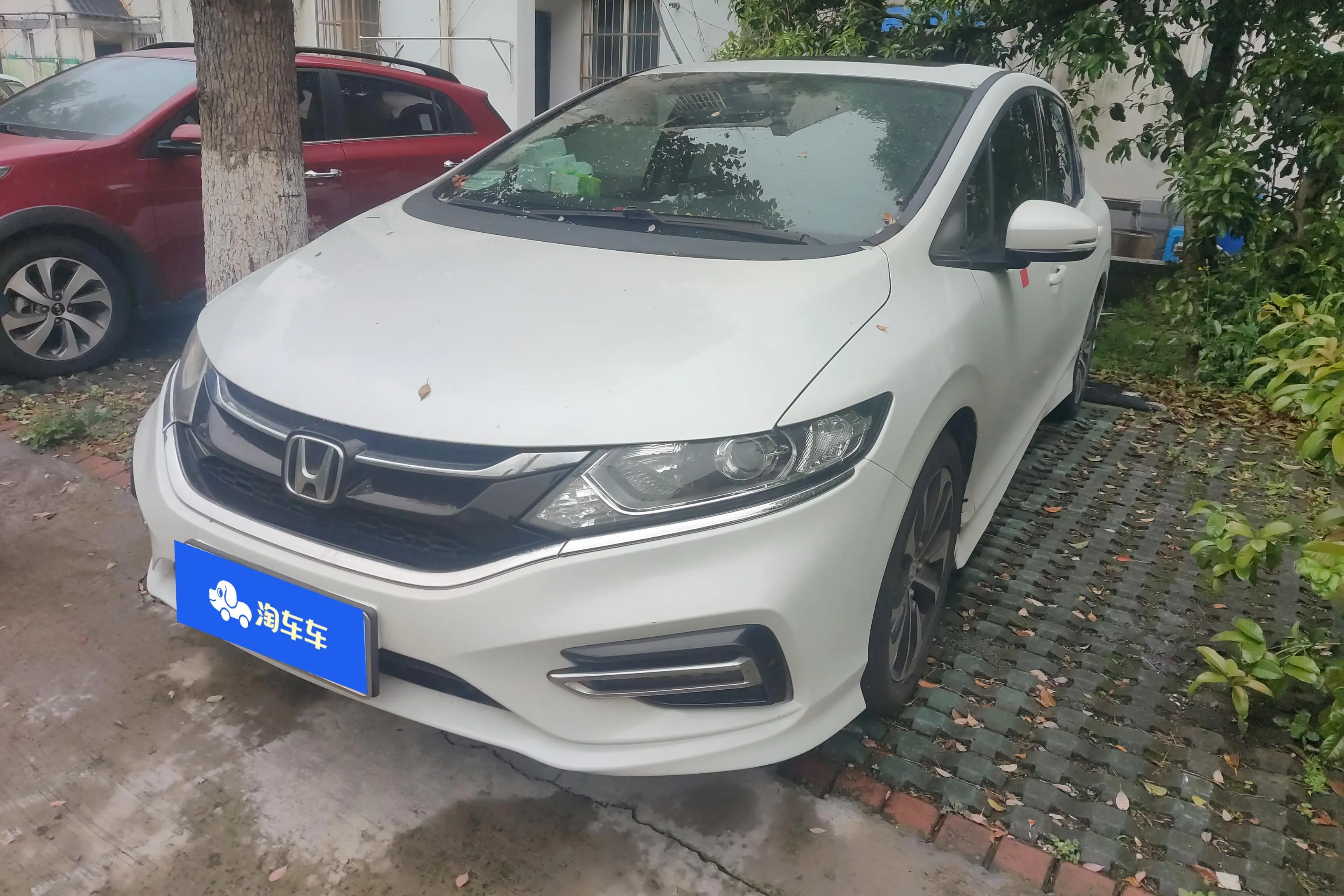 Honda Jed