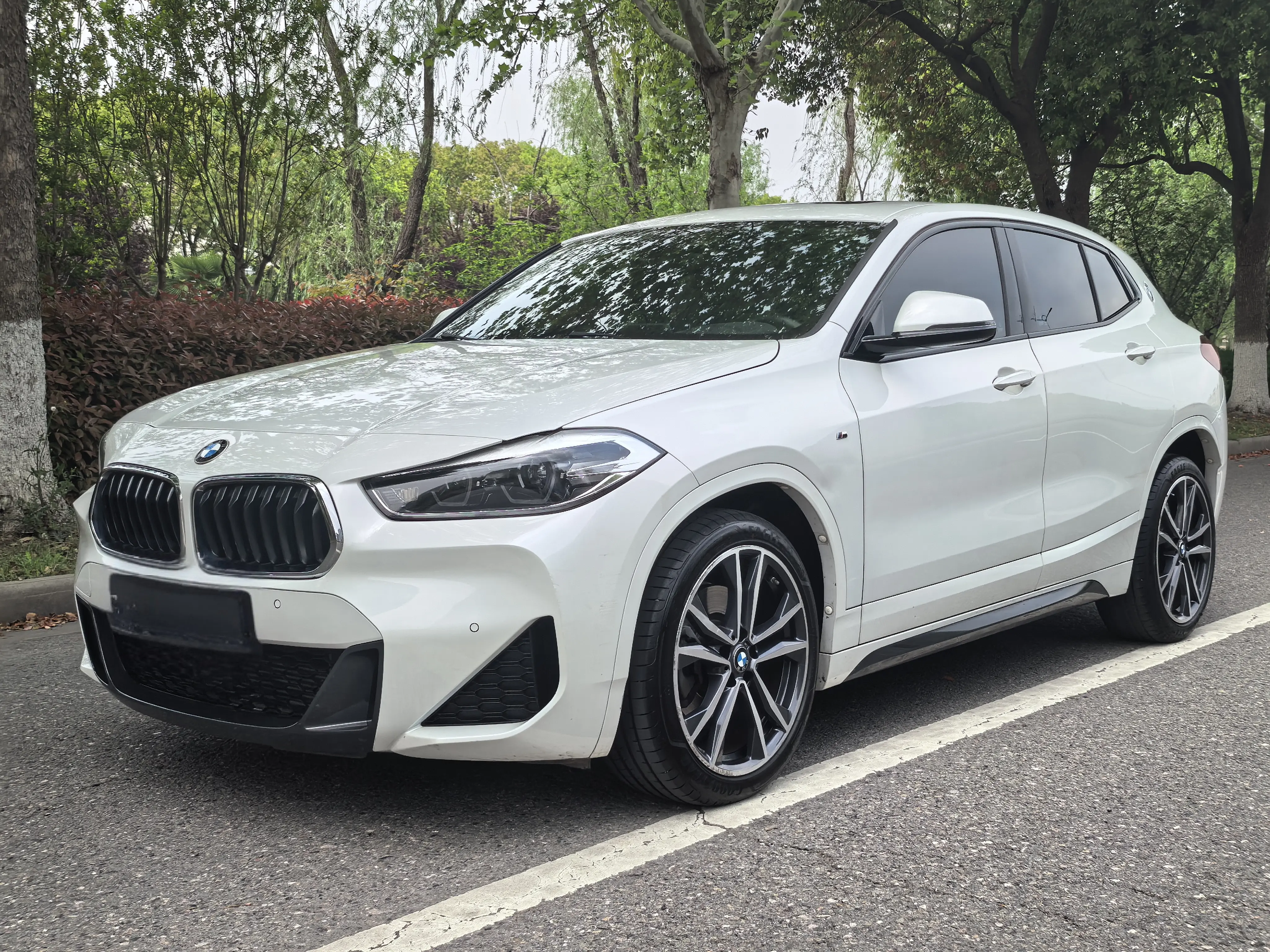 BMW X2