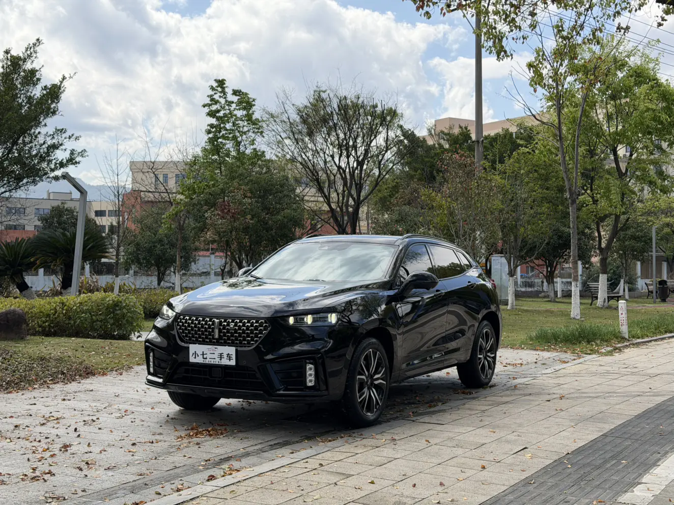 Wey Wei brand VV7