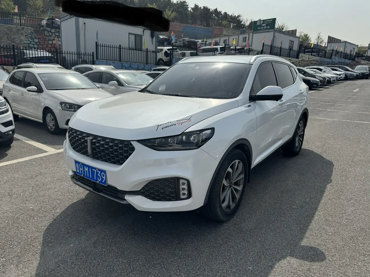 Wey Wei brand VV6