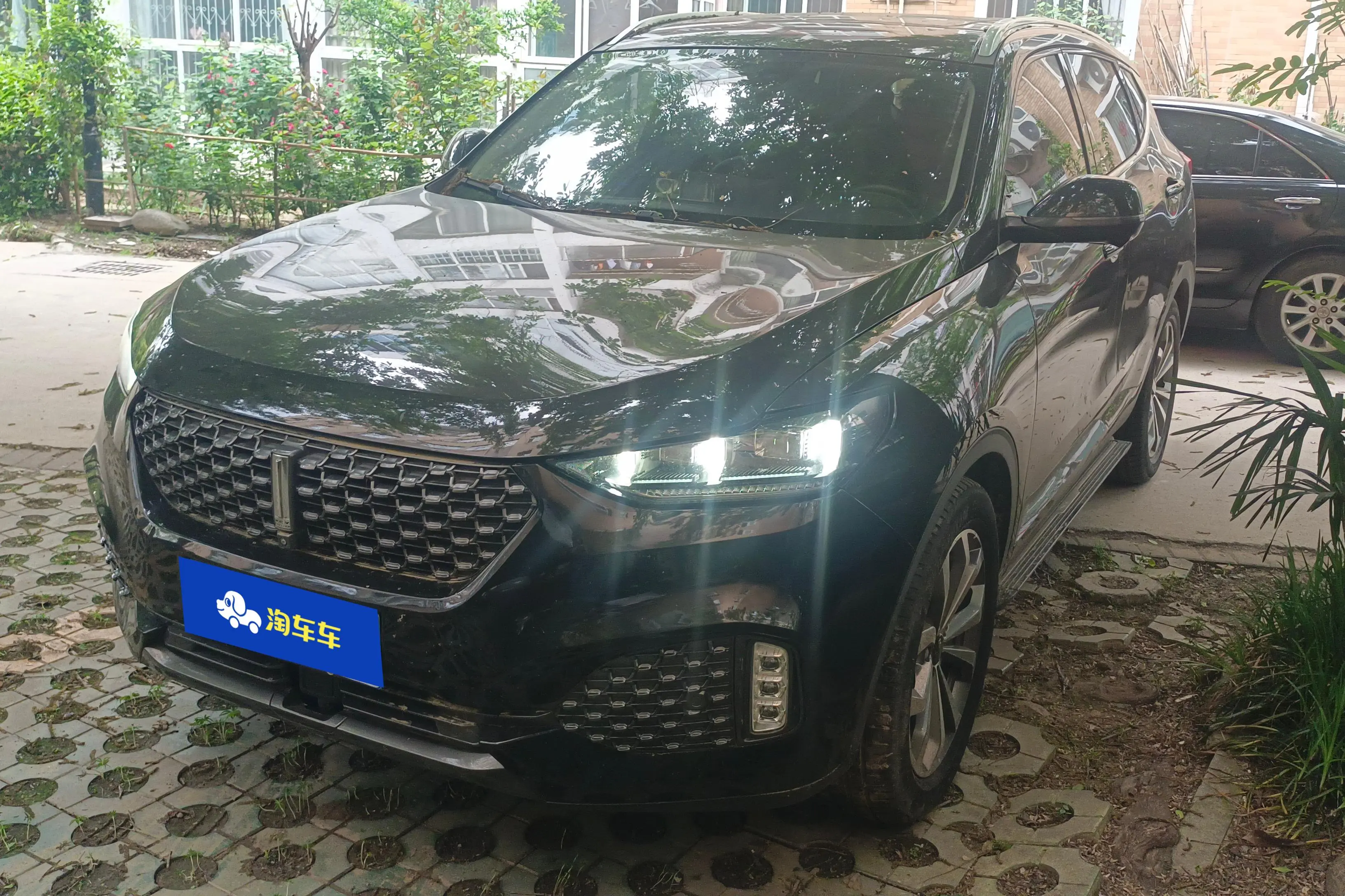 Wey Wei brand VV6