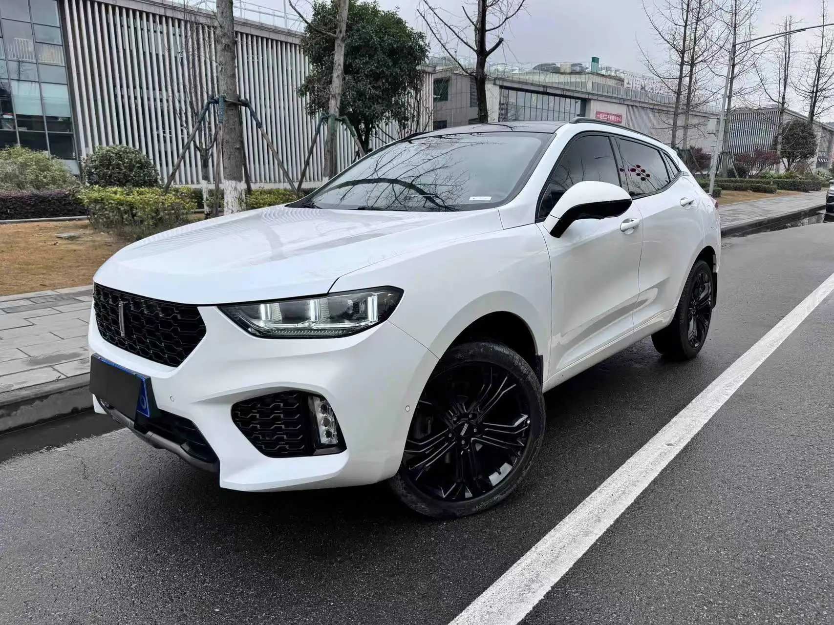 Wey Wei brand VV5