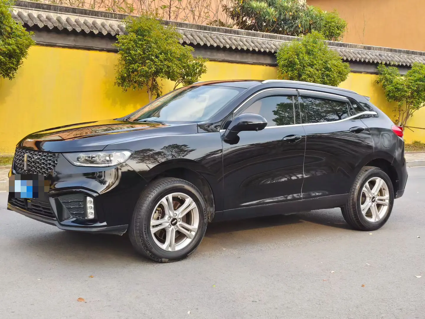 Wey Wei brand VV5