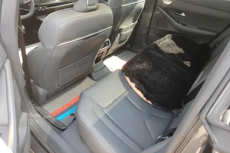catalog-car-2