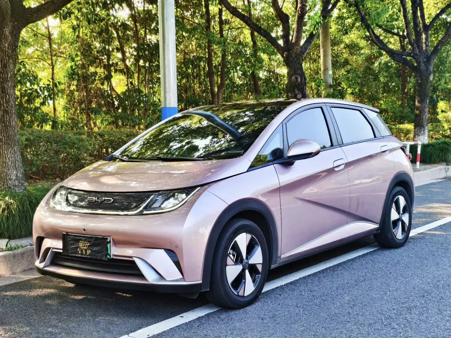 BYD Dolphin