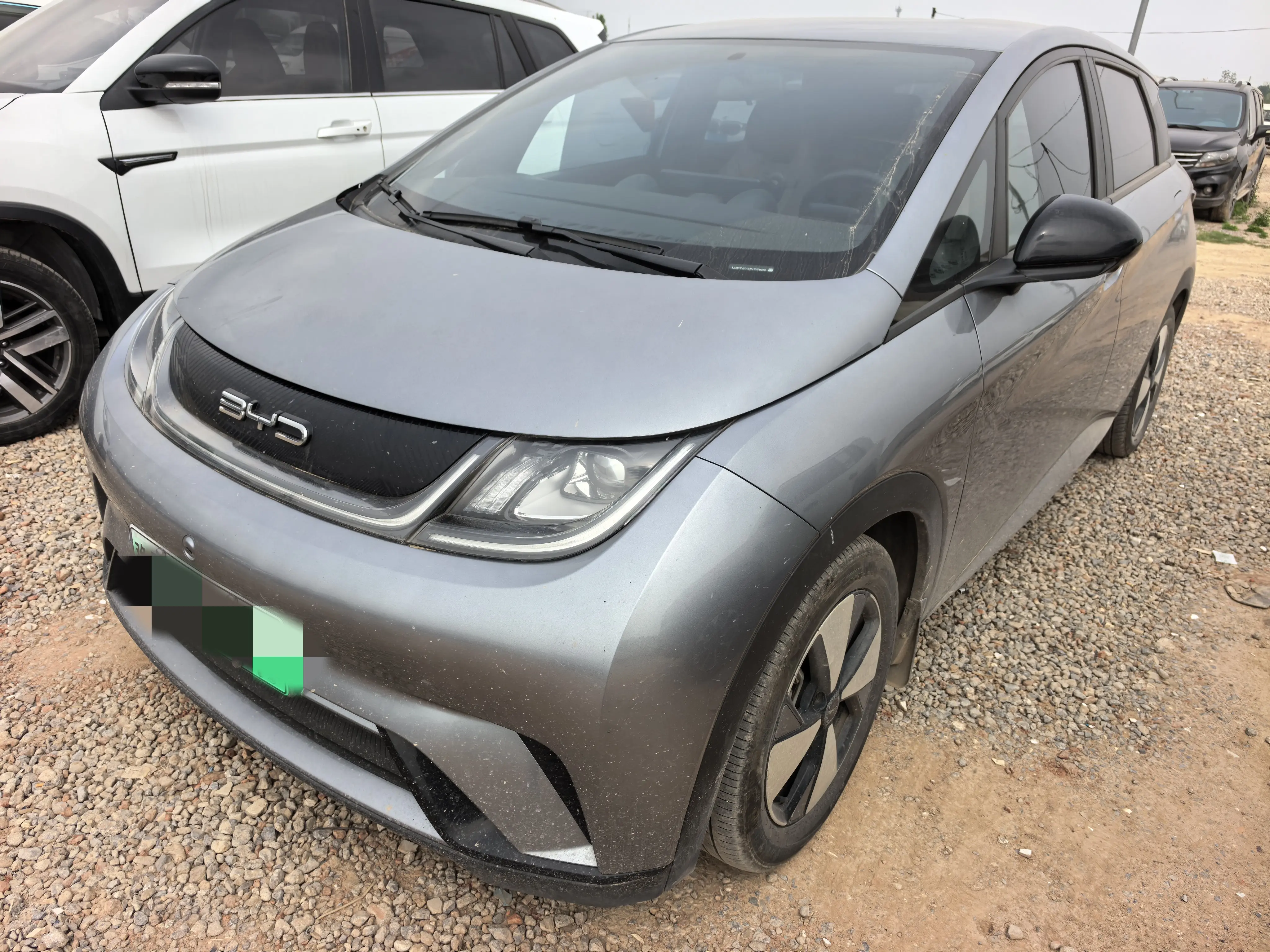 BYD Dolphin