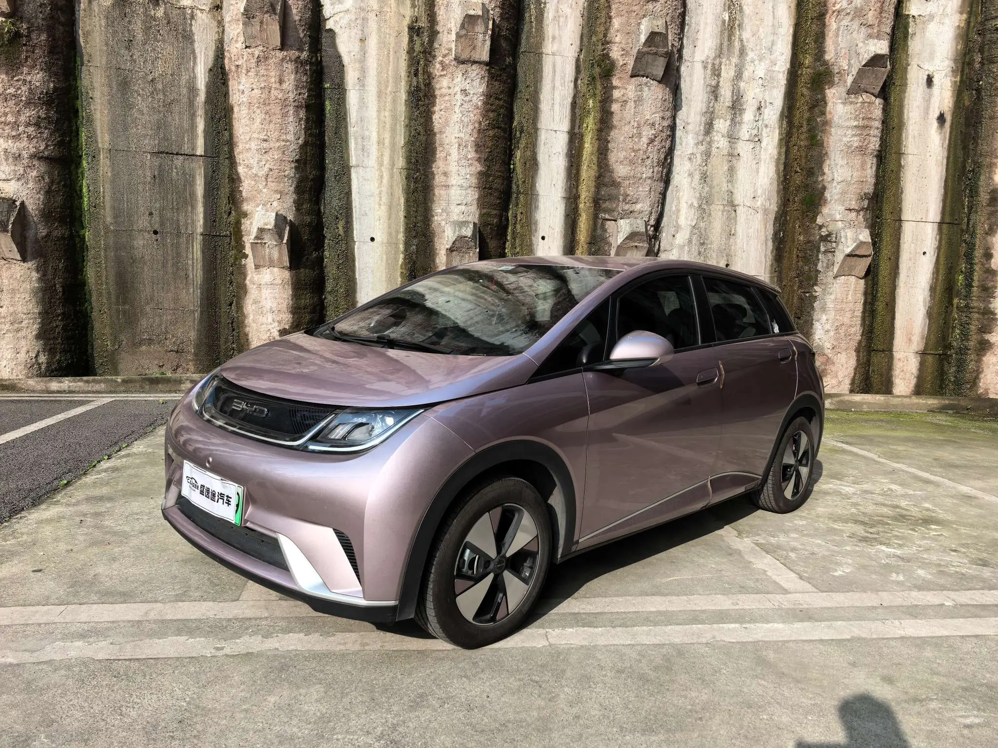 BYD Dolphin