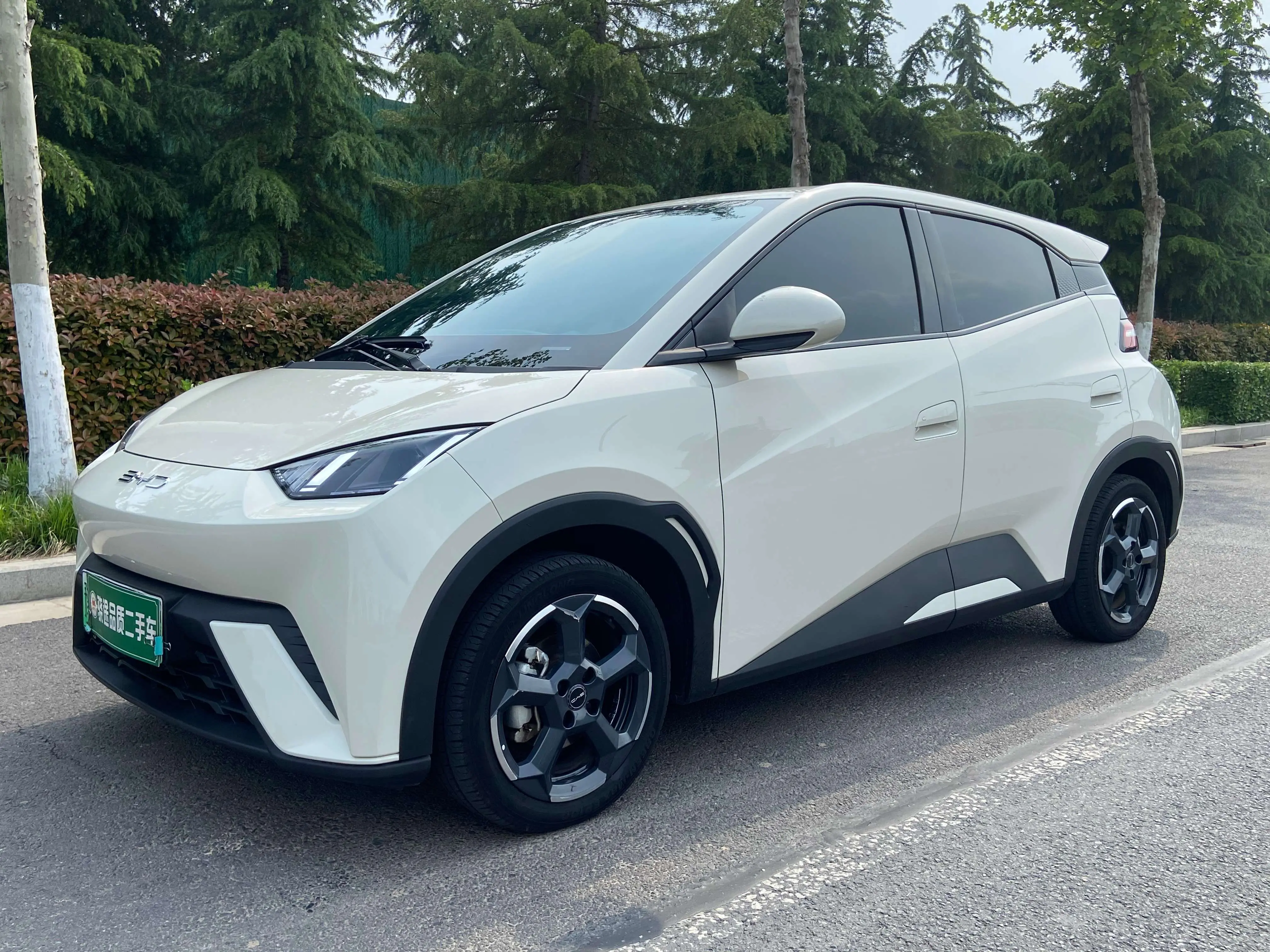 BYD Seagull
