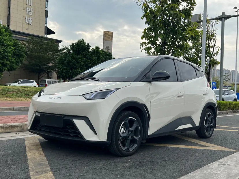 BYD Seagull