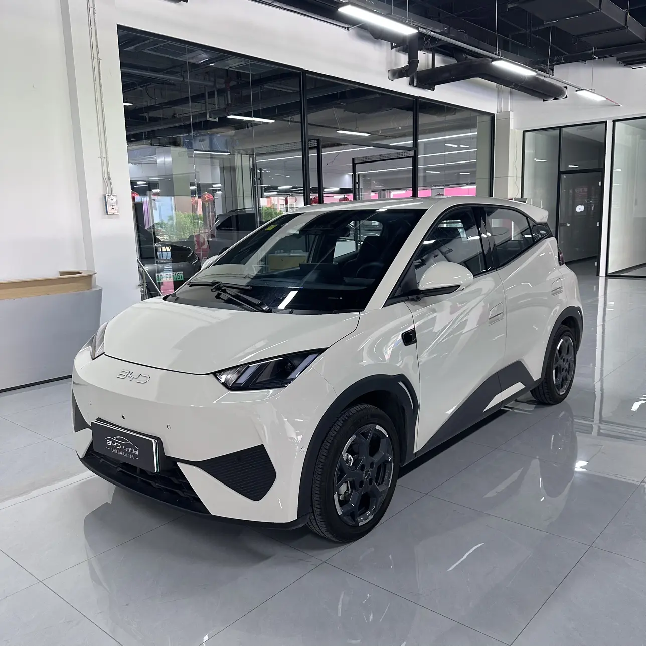 BYD Seagull