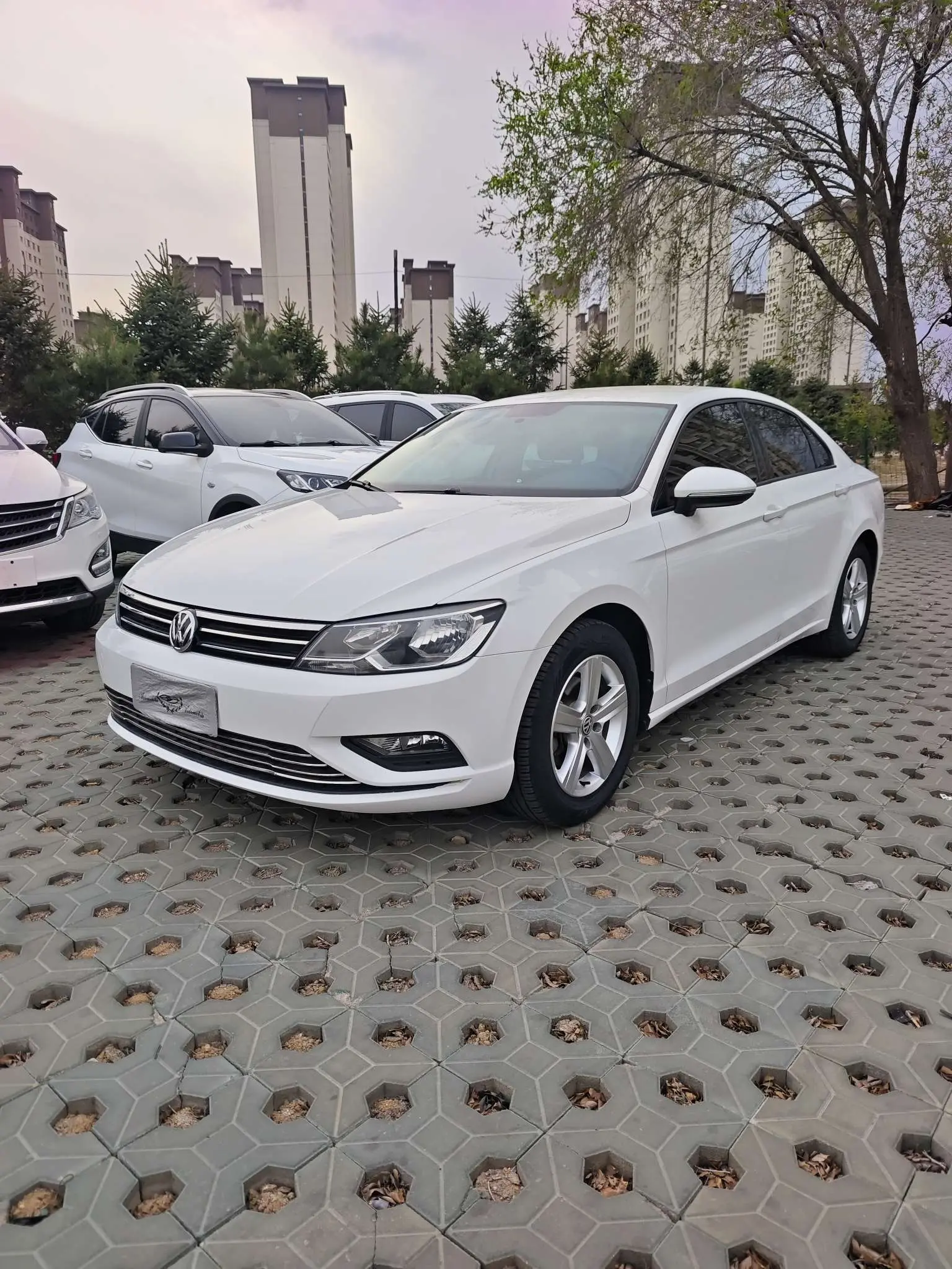 Volkswagen Lamando