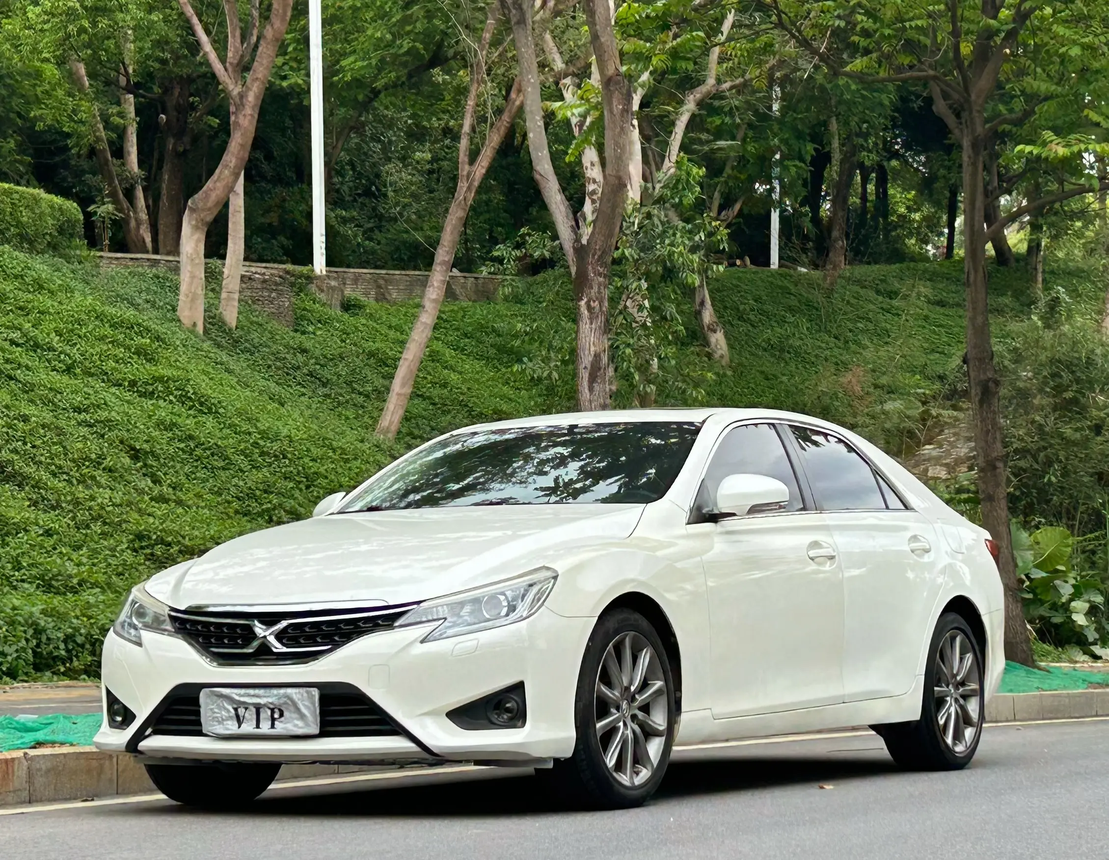 Toyota Ruizhi