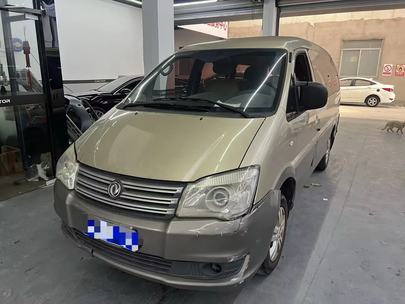 Forthing Lingzhi