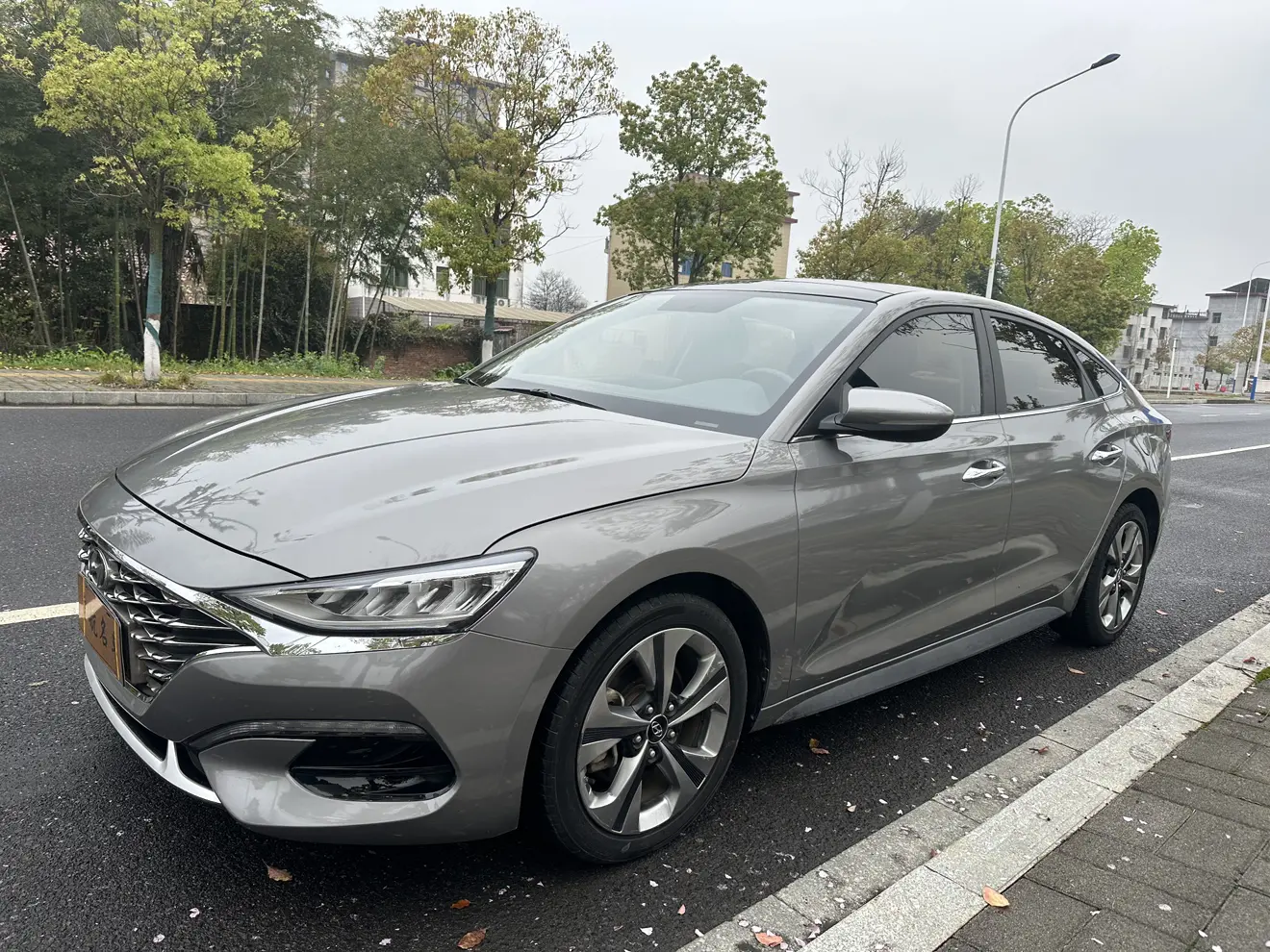 Hyundai Lafesta
