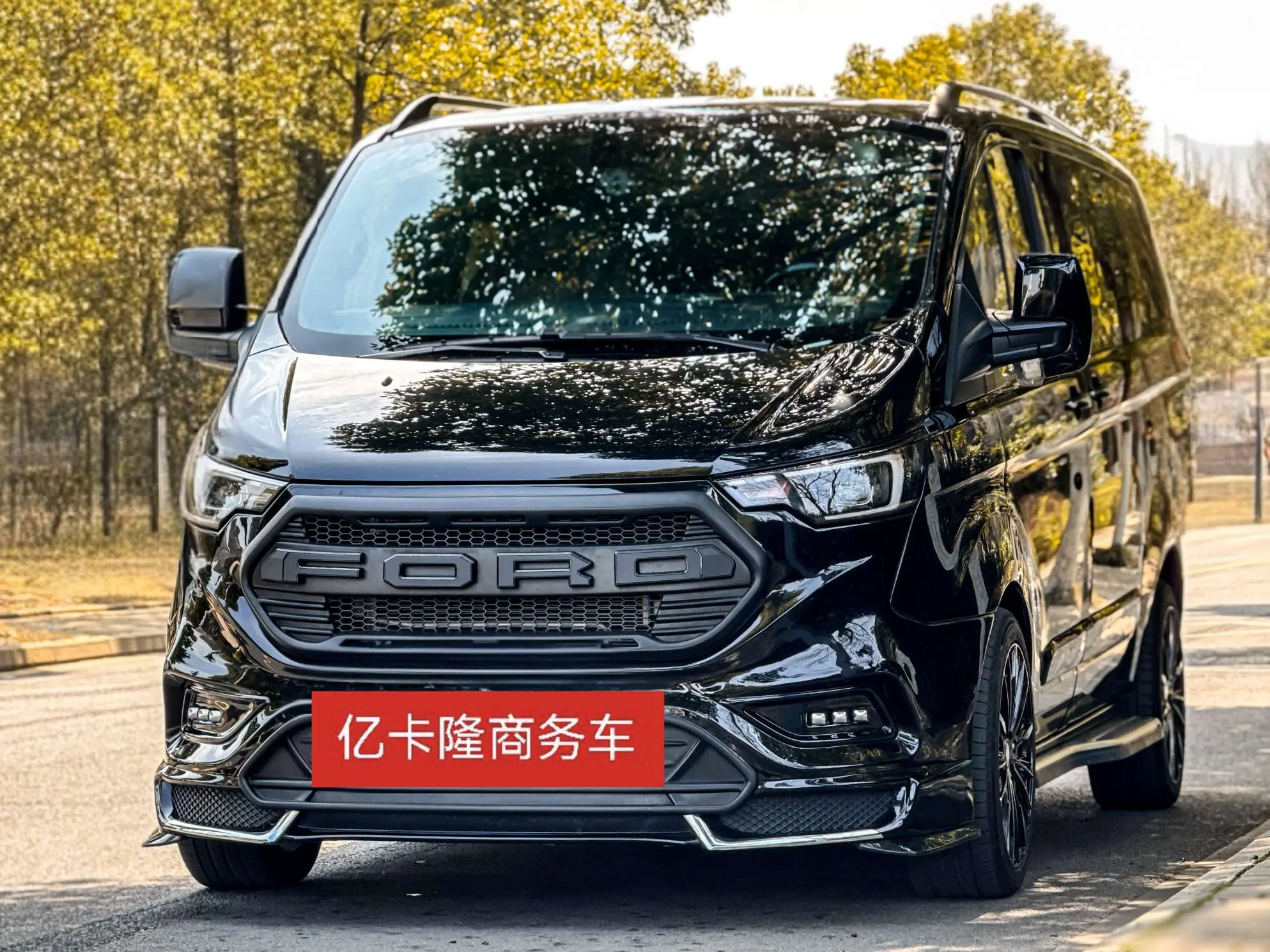 Watsonwell Ford Black Knight