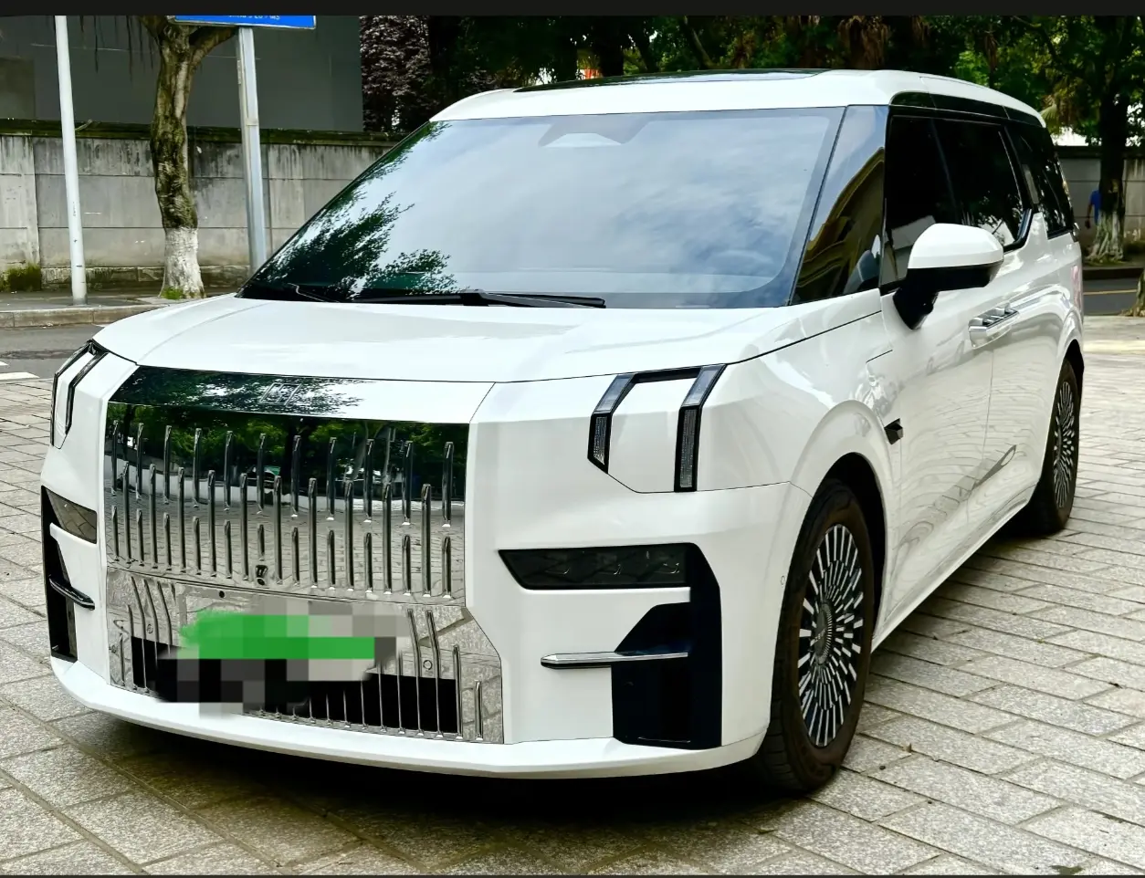 ZEEKR 009