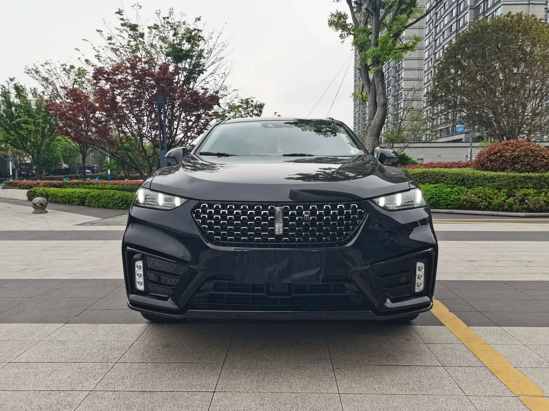 Wey Wei brand VV7