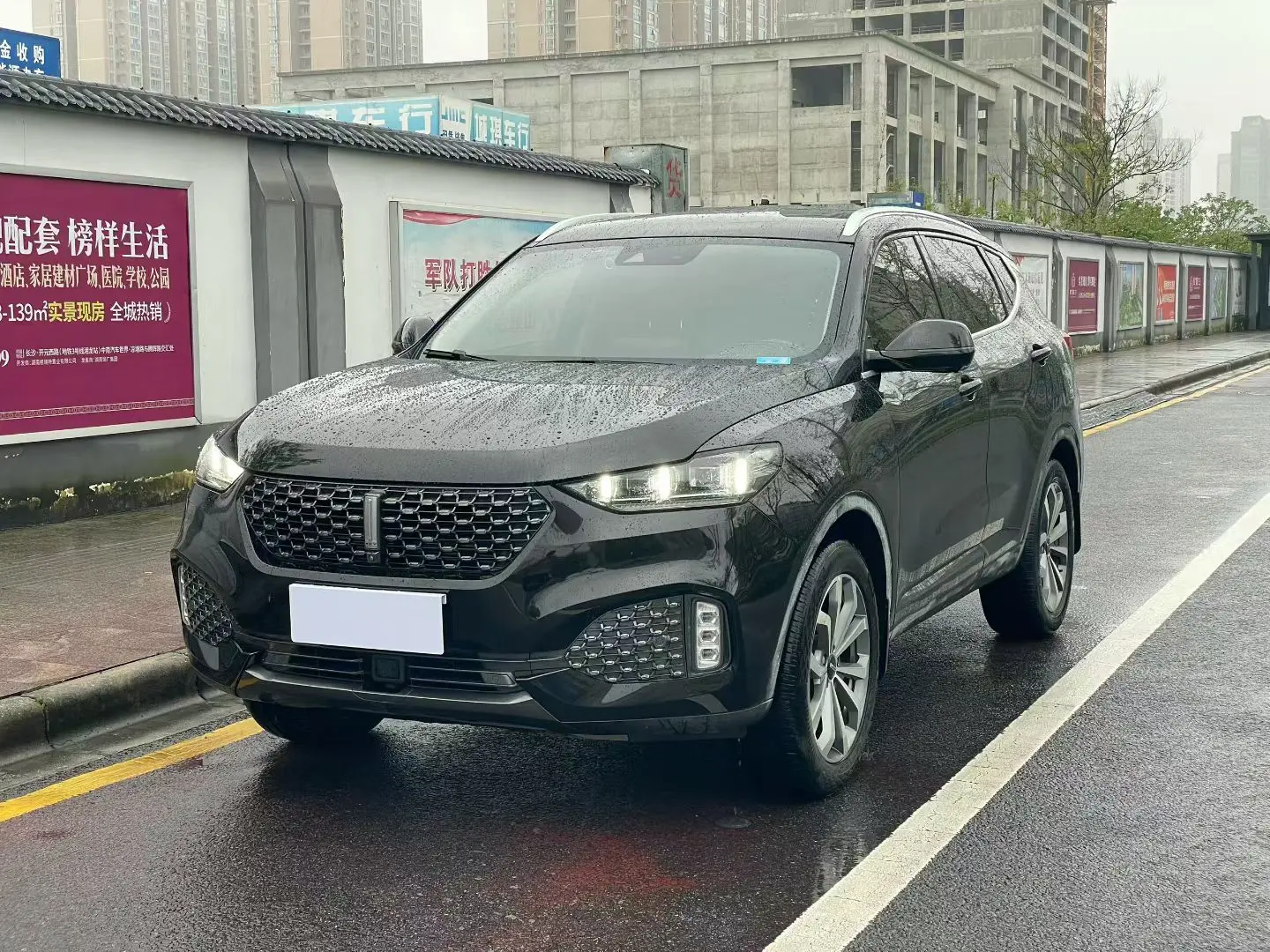 Wey Wei brand VV6