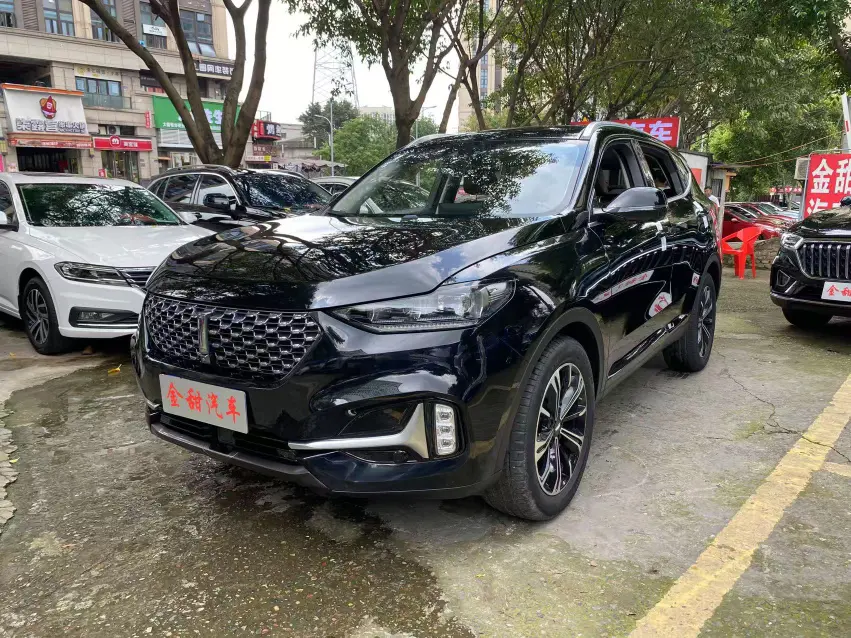Wey Wei brand VV6