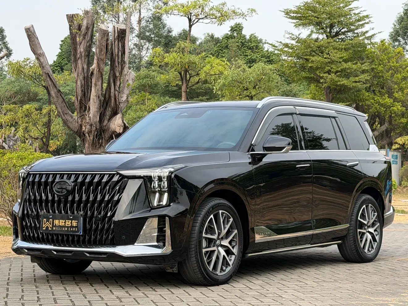 GAC Trumpchi GS8
