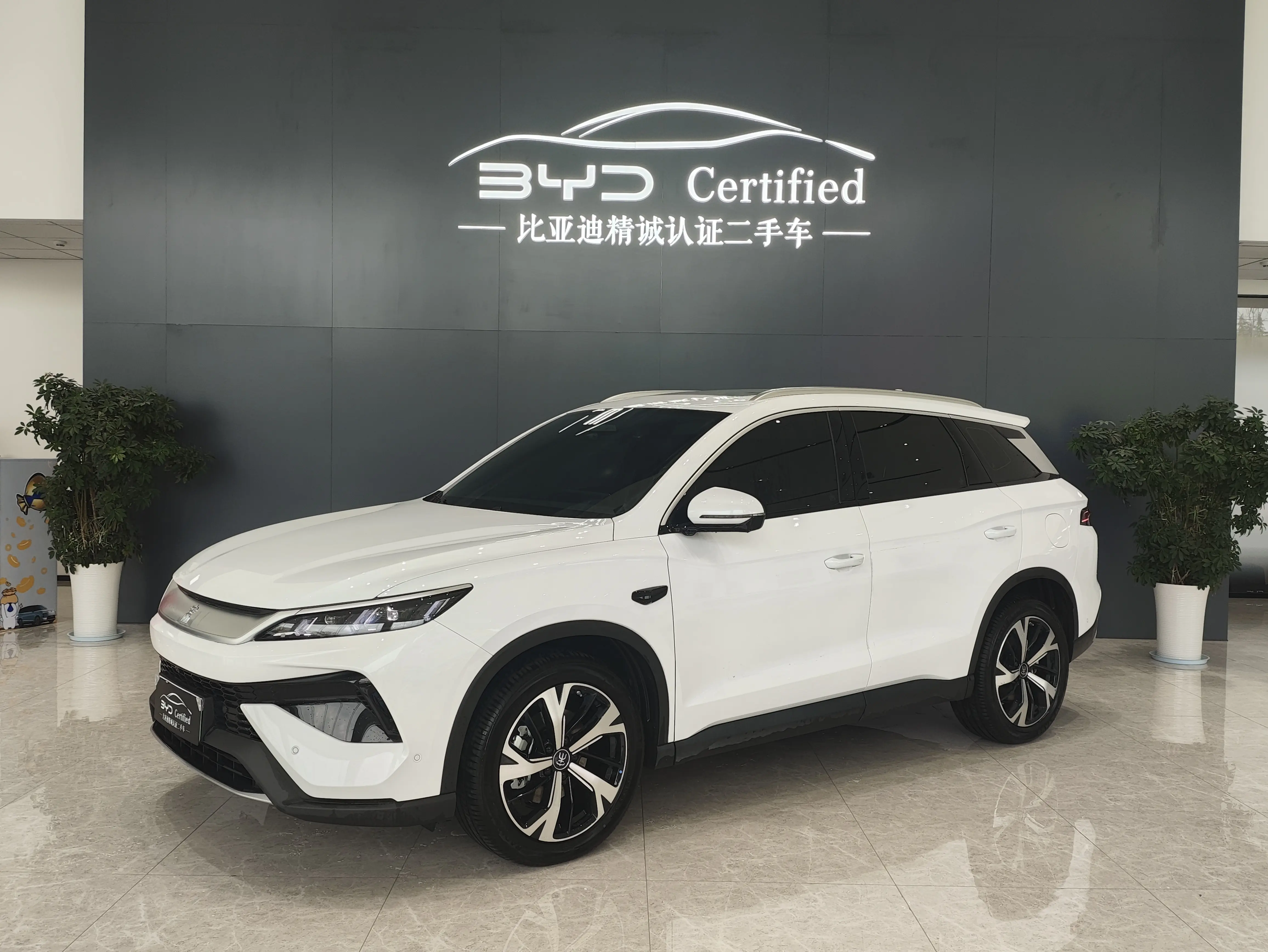 BYD Song Pro DM