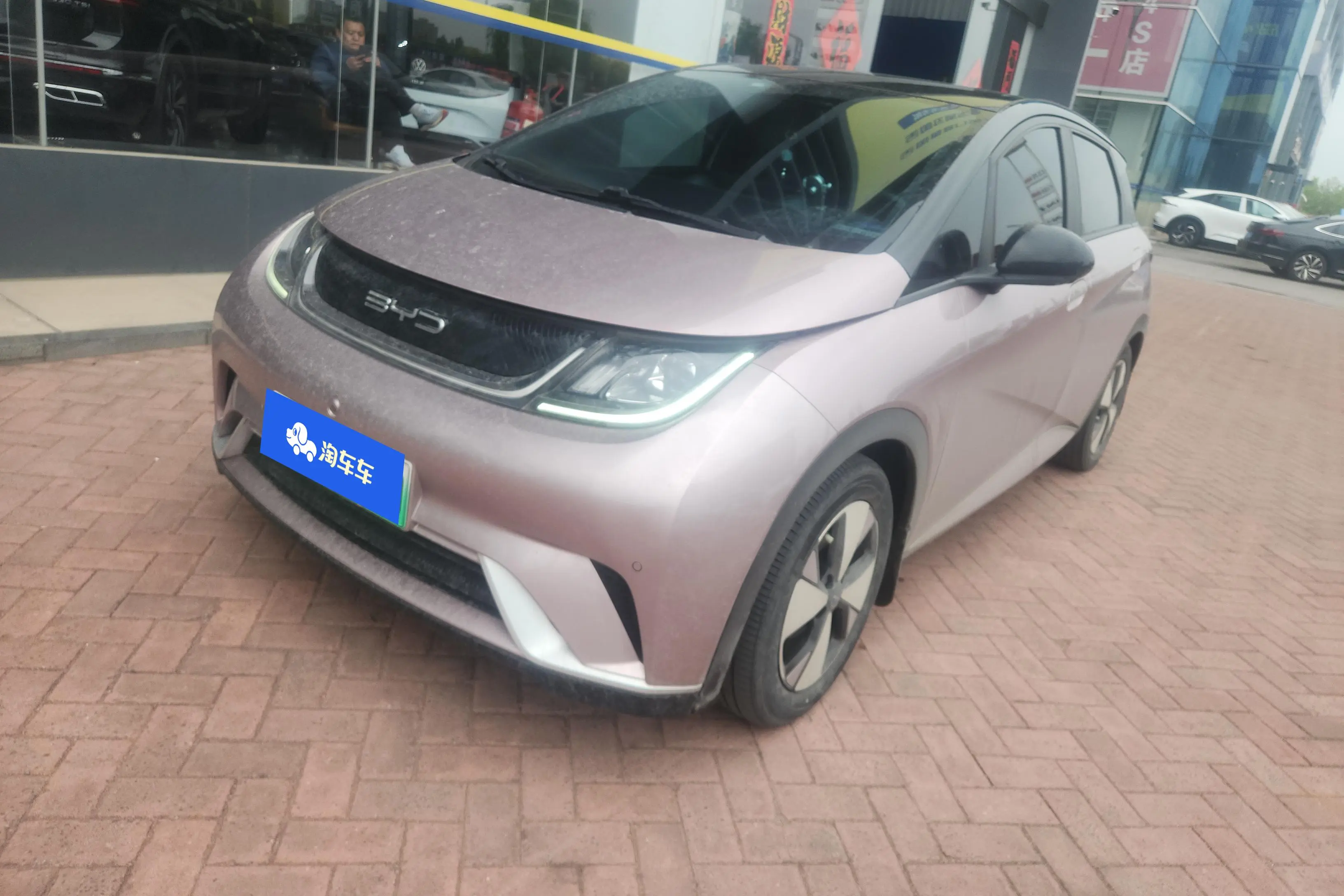 BYD Dolphin