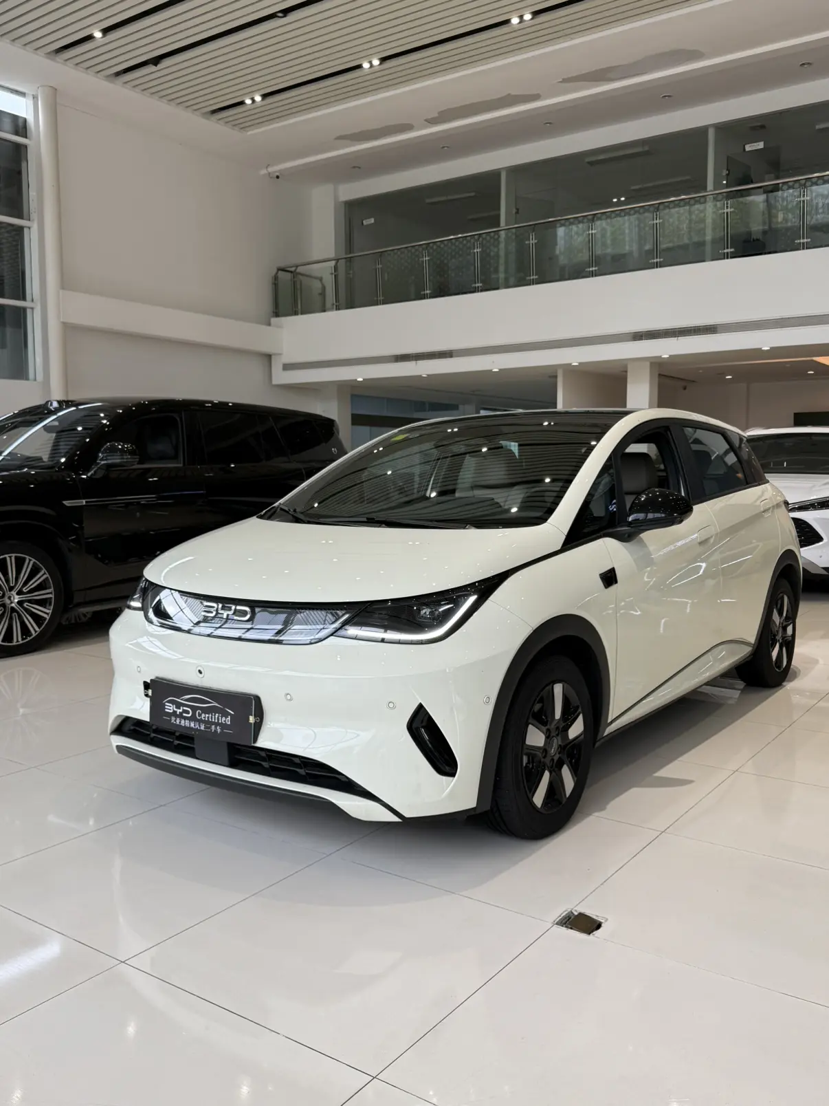 BYD Dolphin