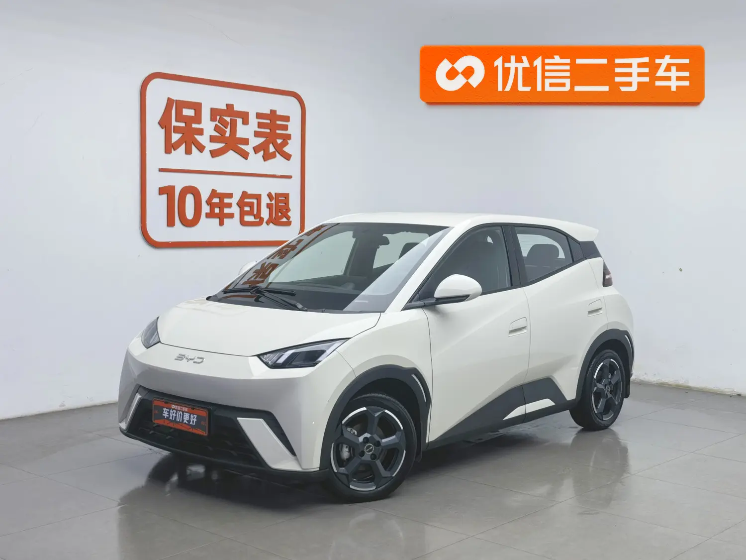 BYD Seagull