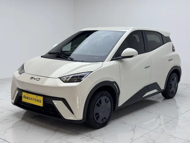 BYD Seagull