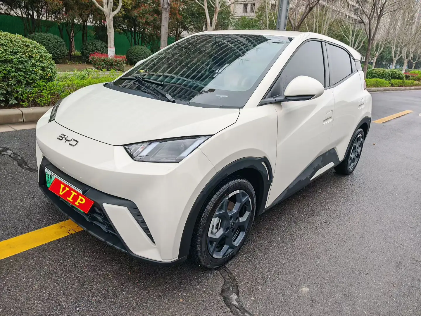 BYD Seagull