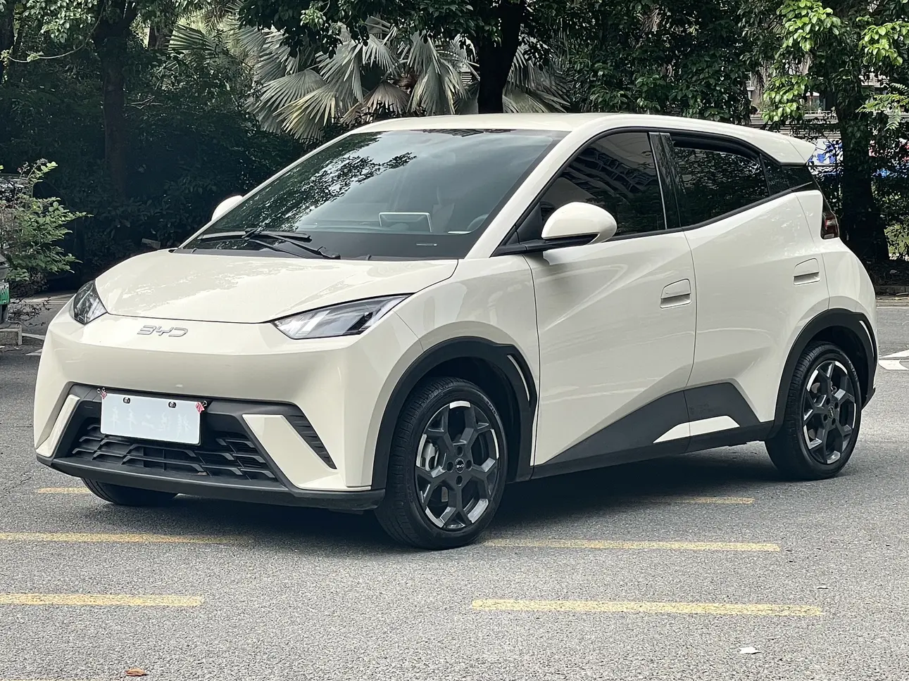 BYD Seagull