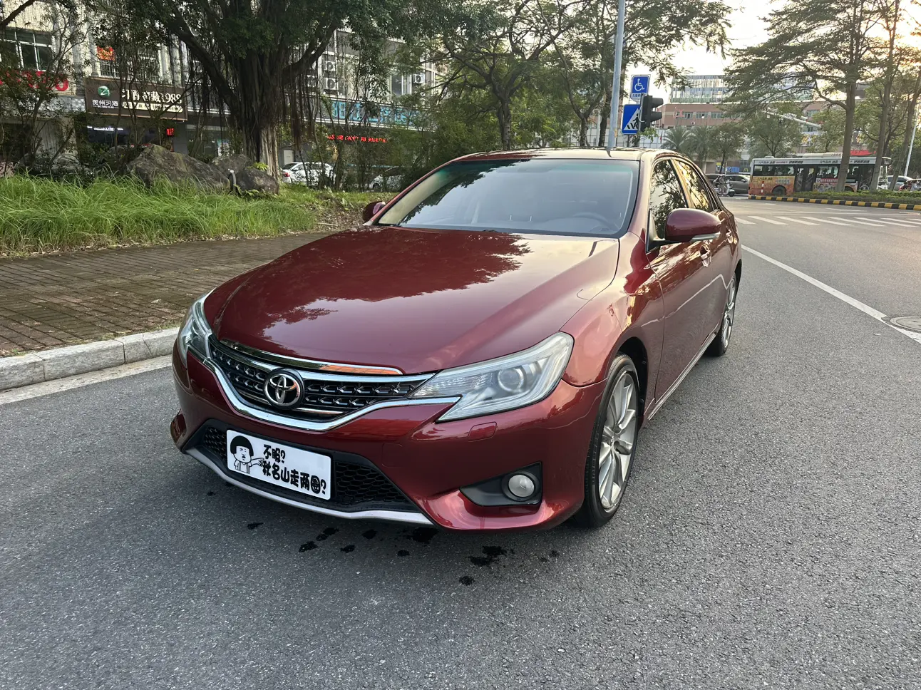 Toyota Ruizhi