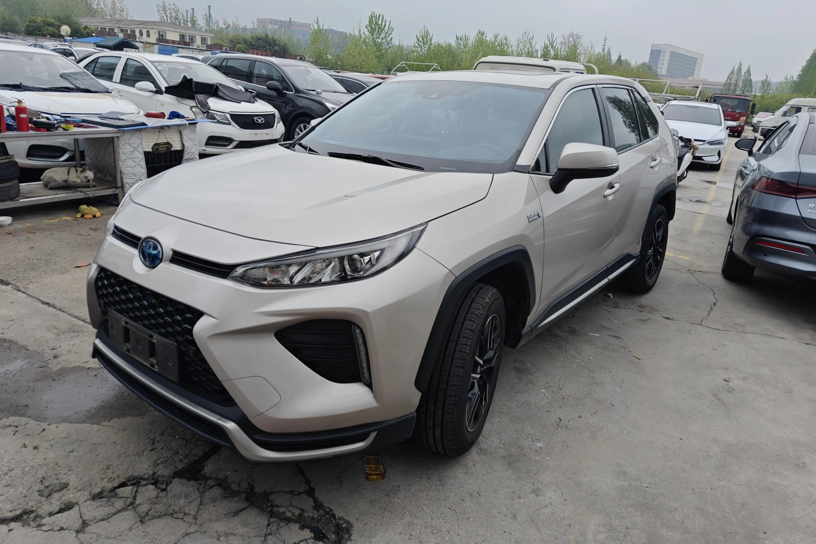 Toyota Wildlander PHEV