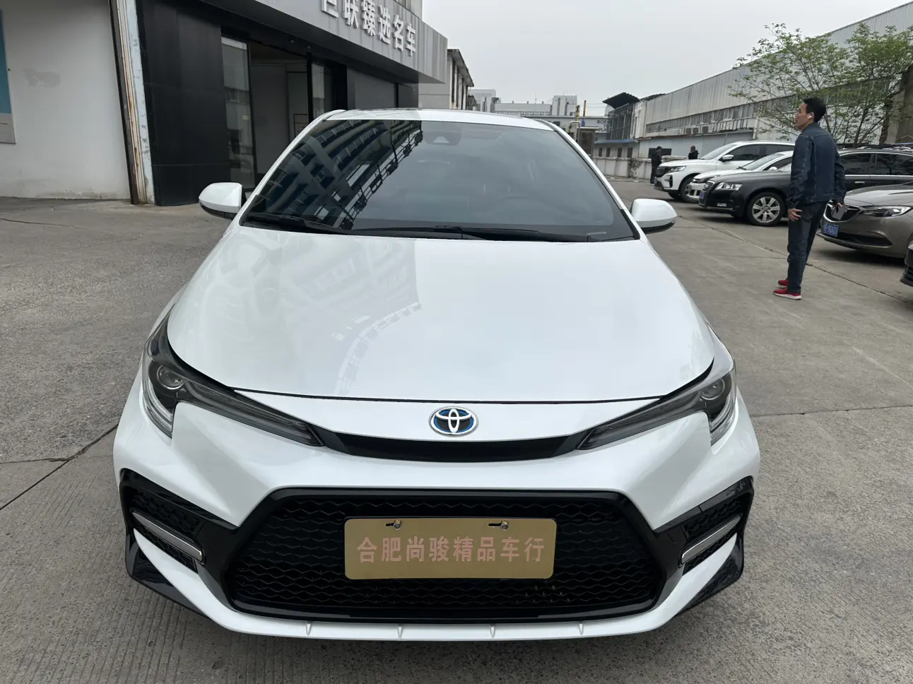 Toyota Levin