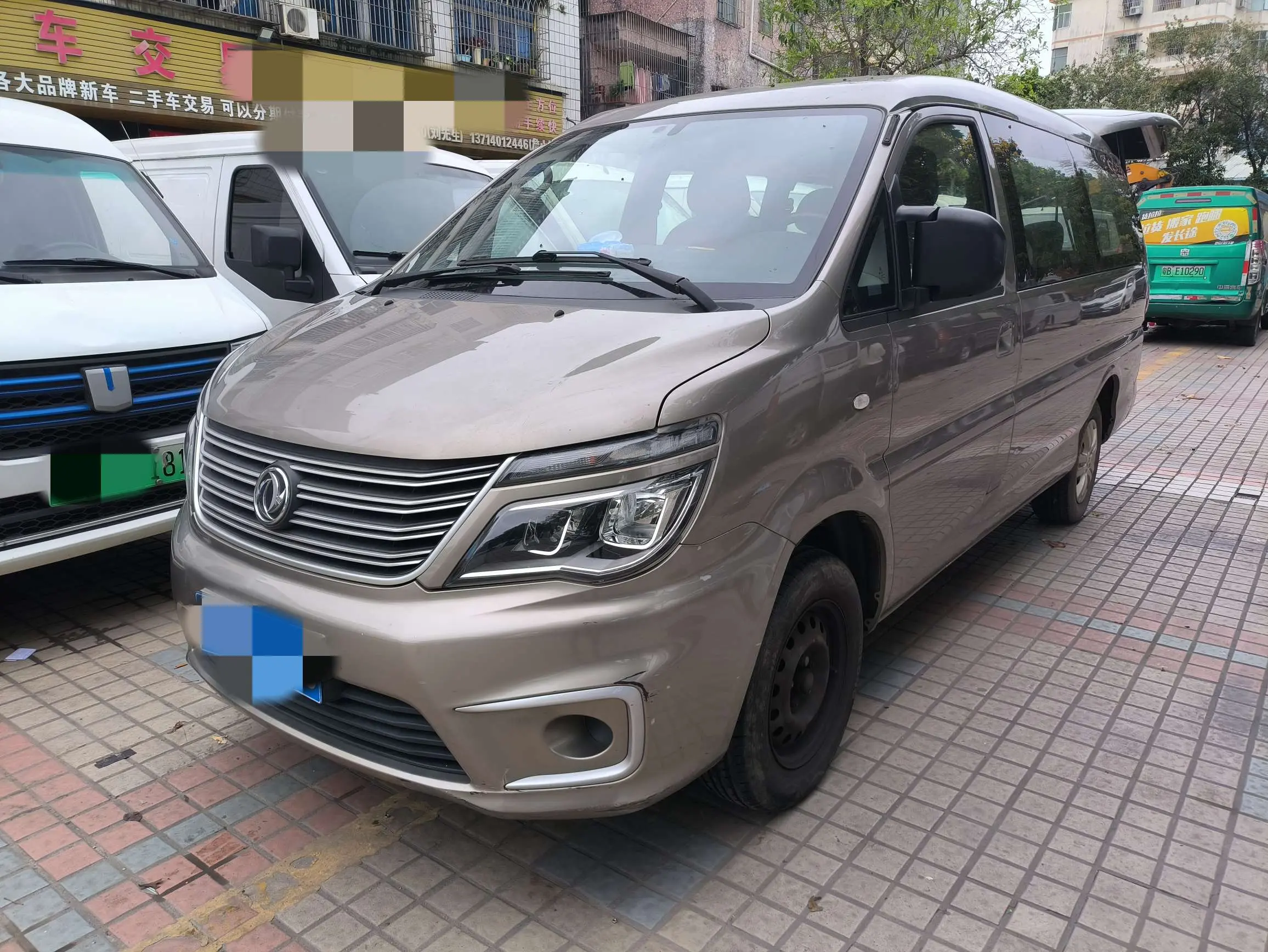 Forthing Lingzhi