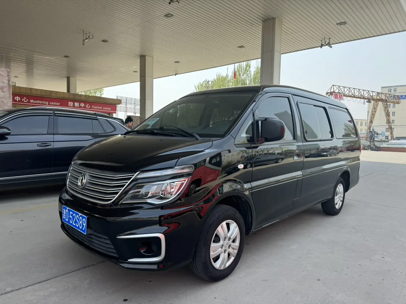 Forthing Lingzhi