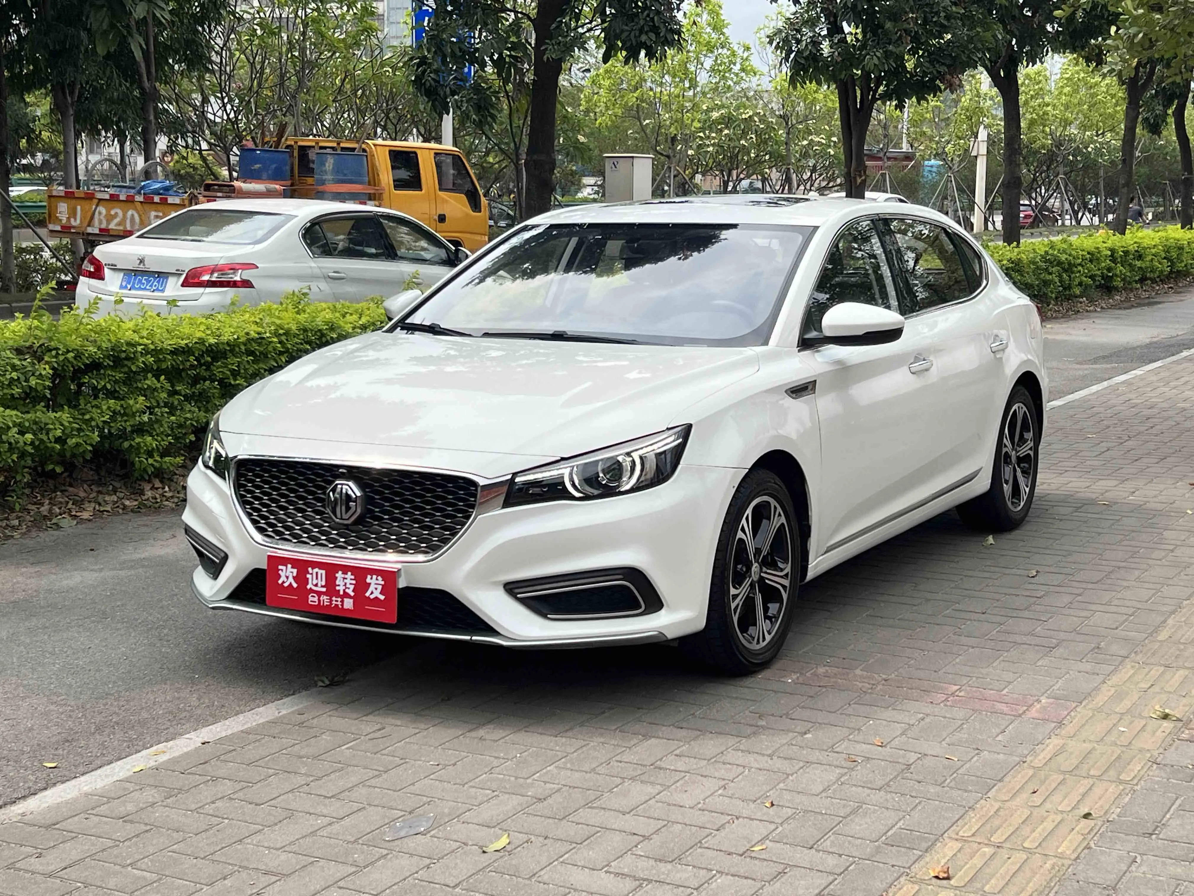 MG 6