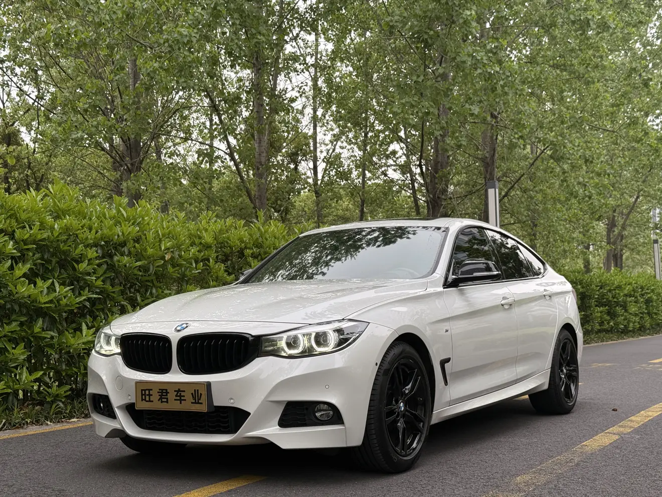 BMW 3 Series GT