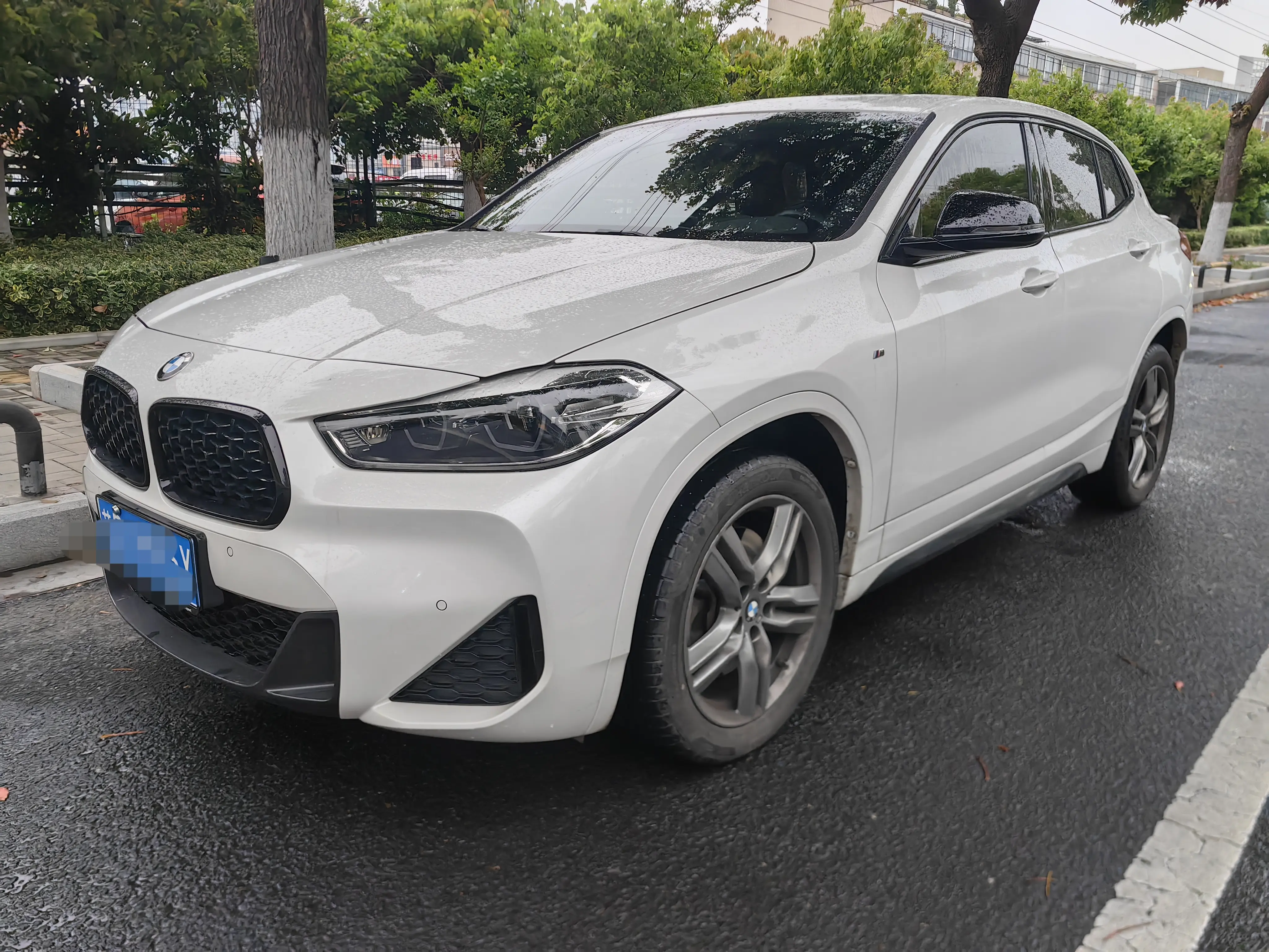 BMW X2