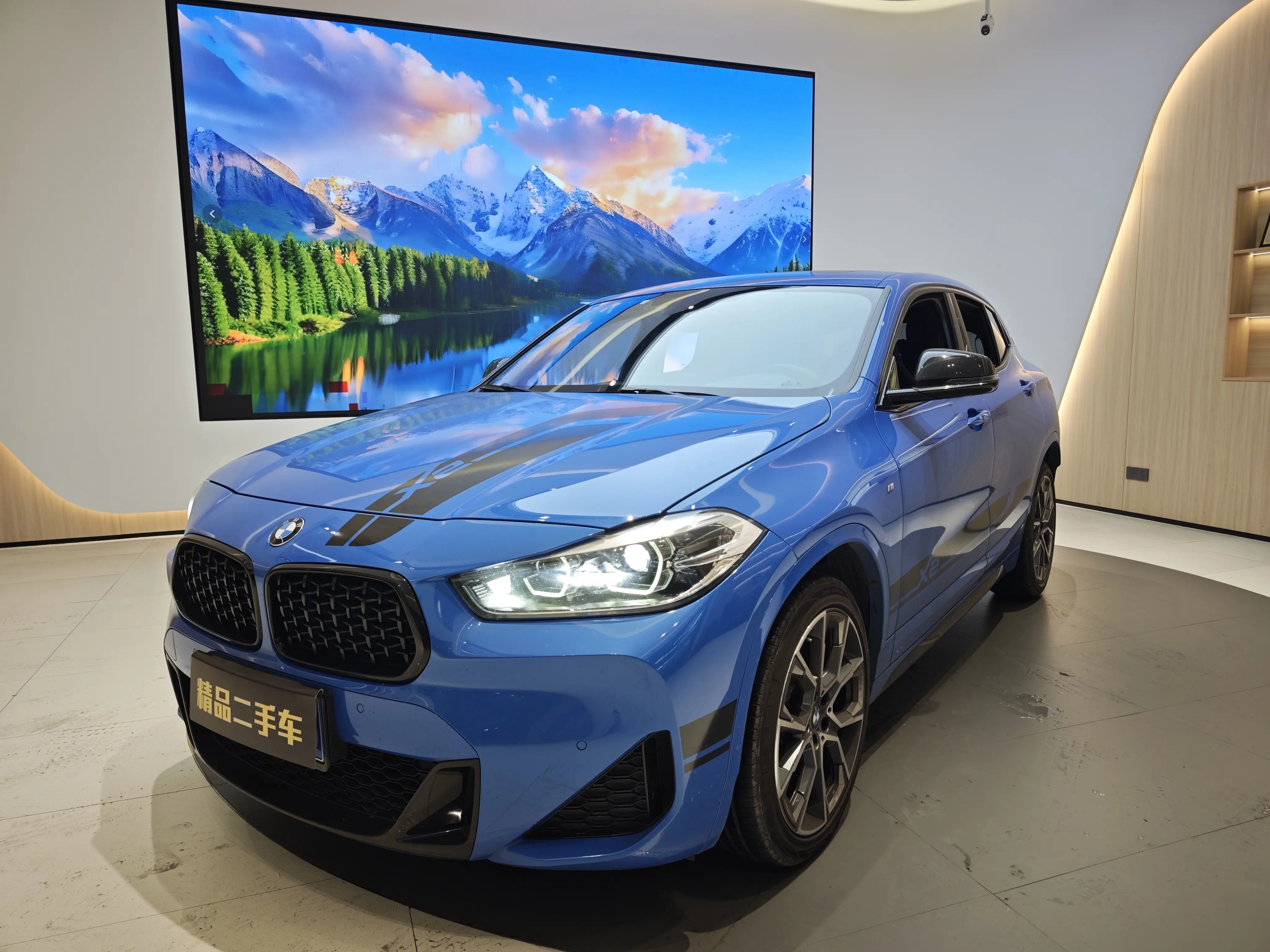 BMW X2