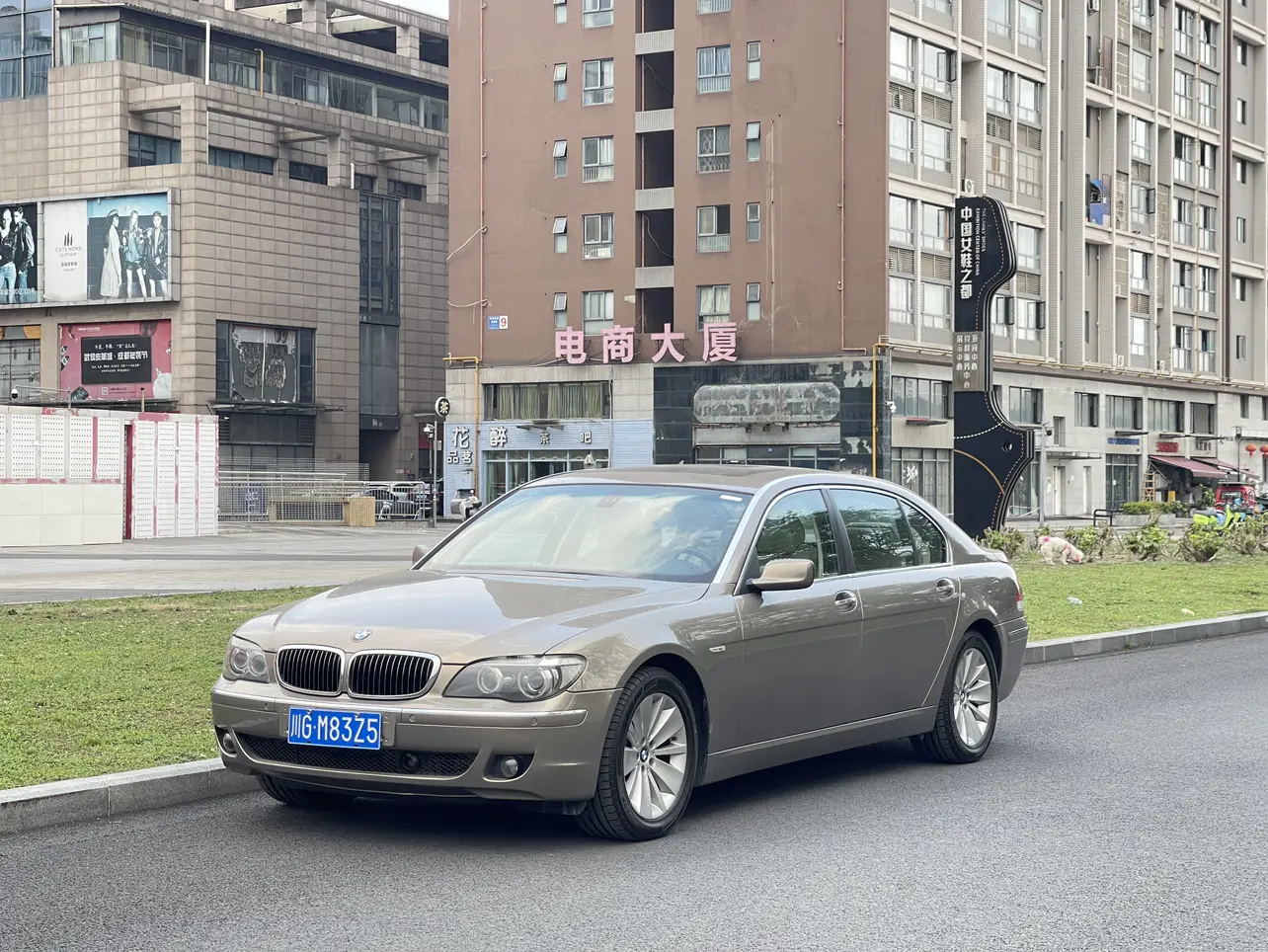 BMW 7 Series