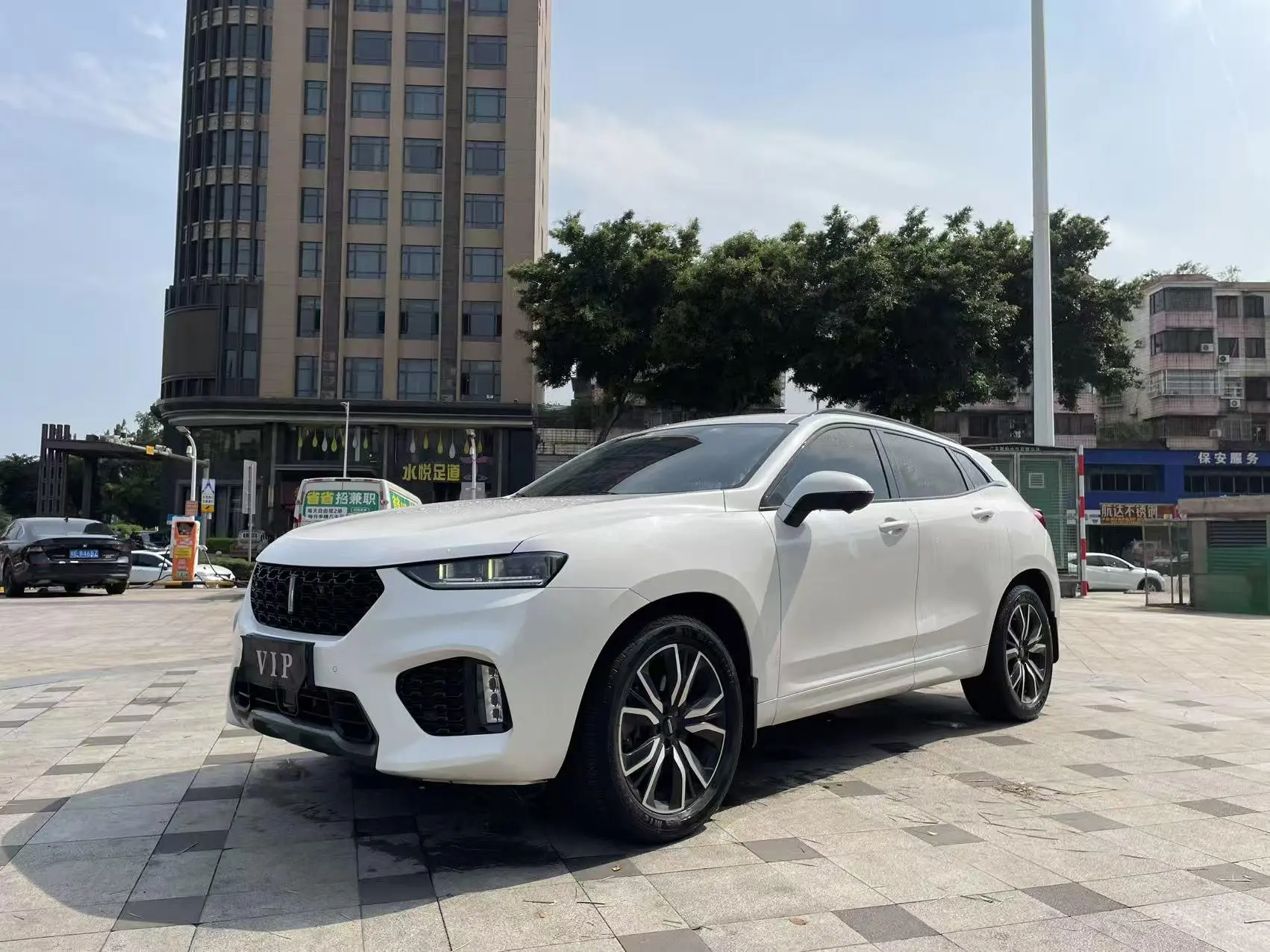 Wey Wei brand VV7