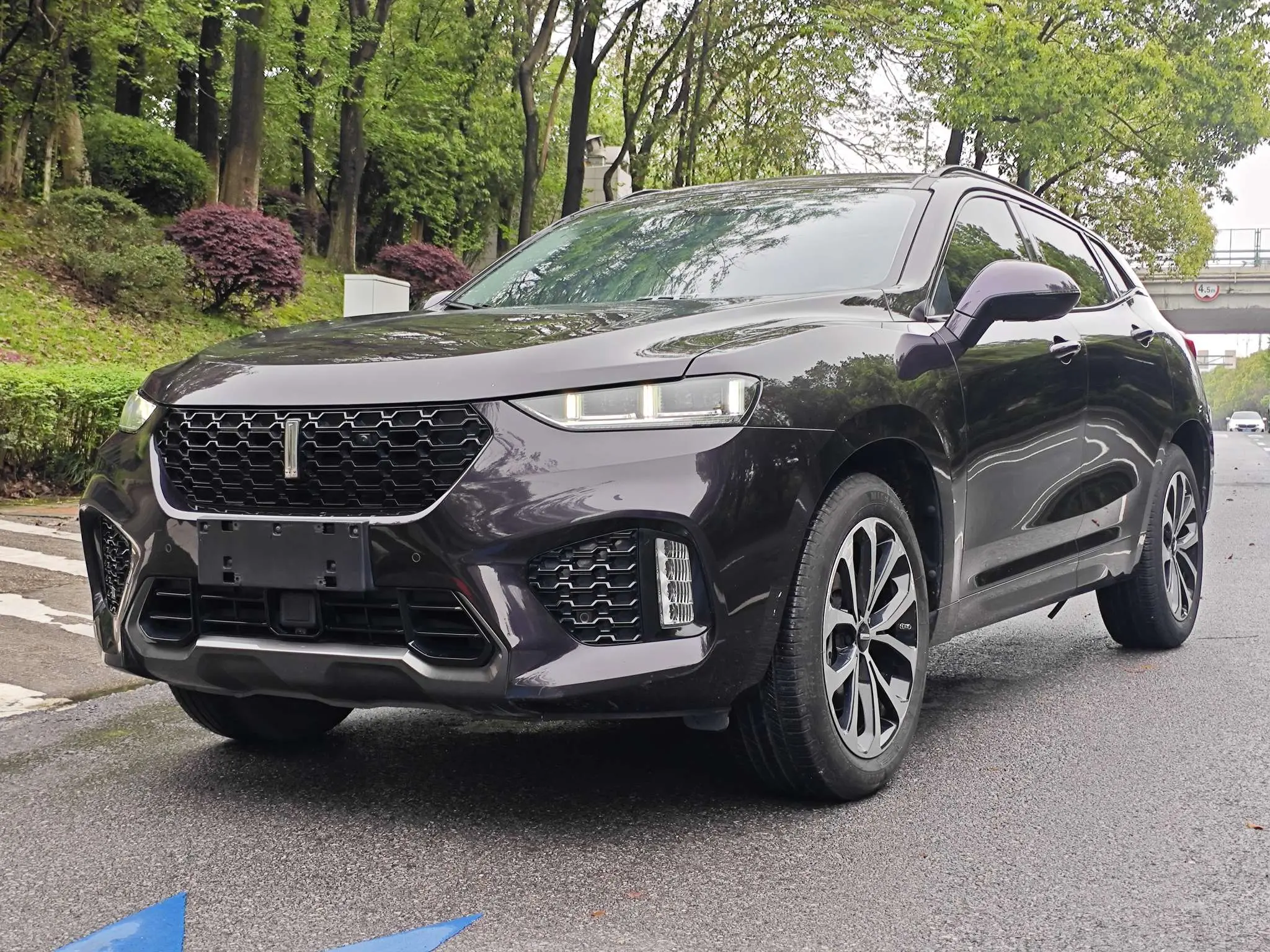 Wey Wei brand VV7