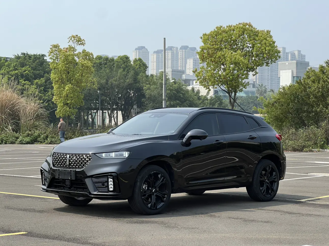 Wey Wei brand VV7