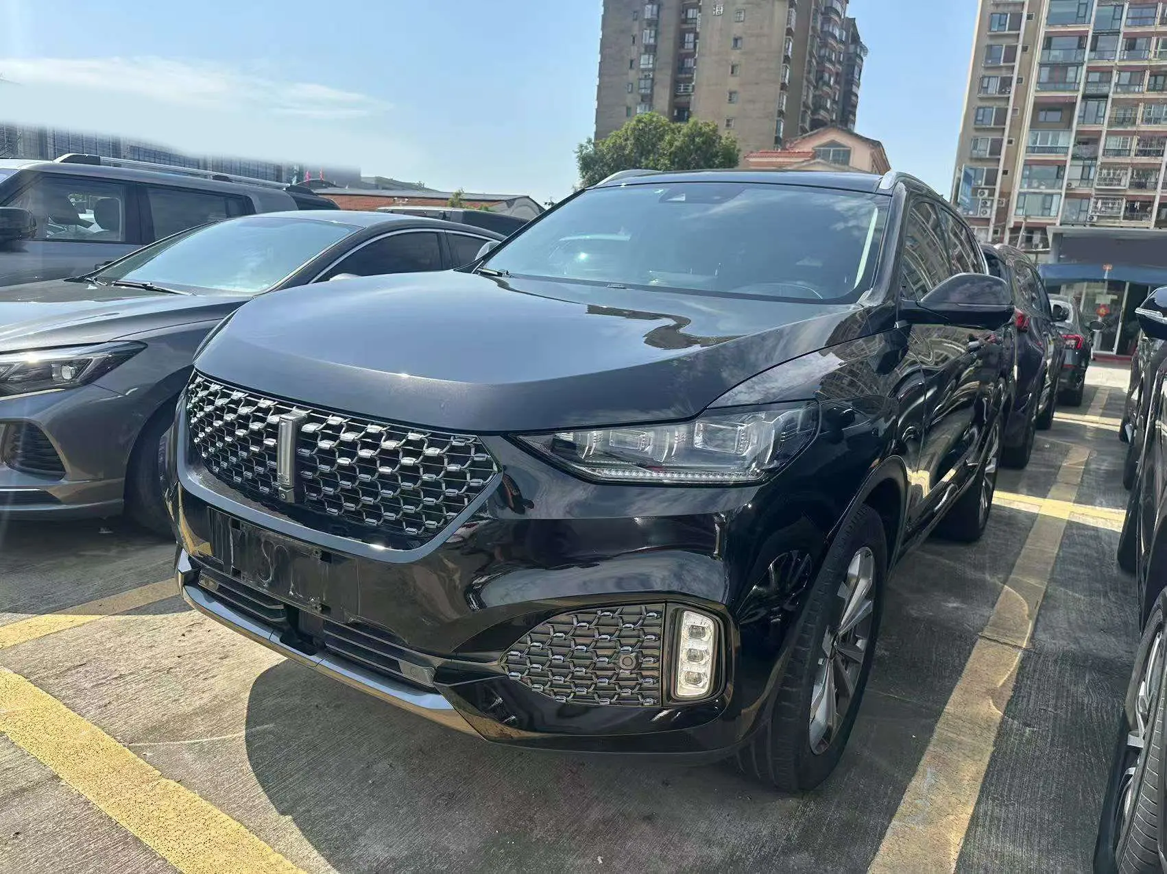 Wey Wei brand VV6