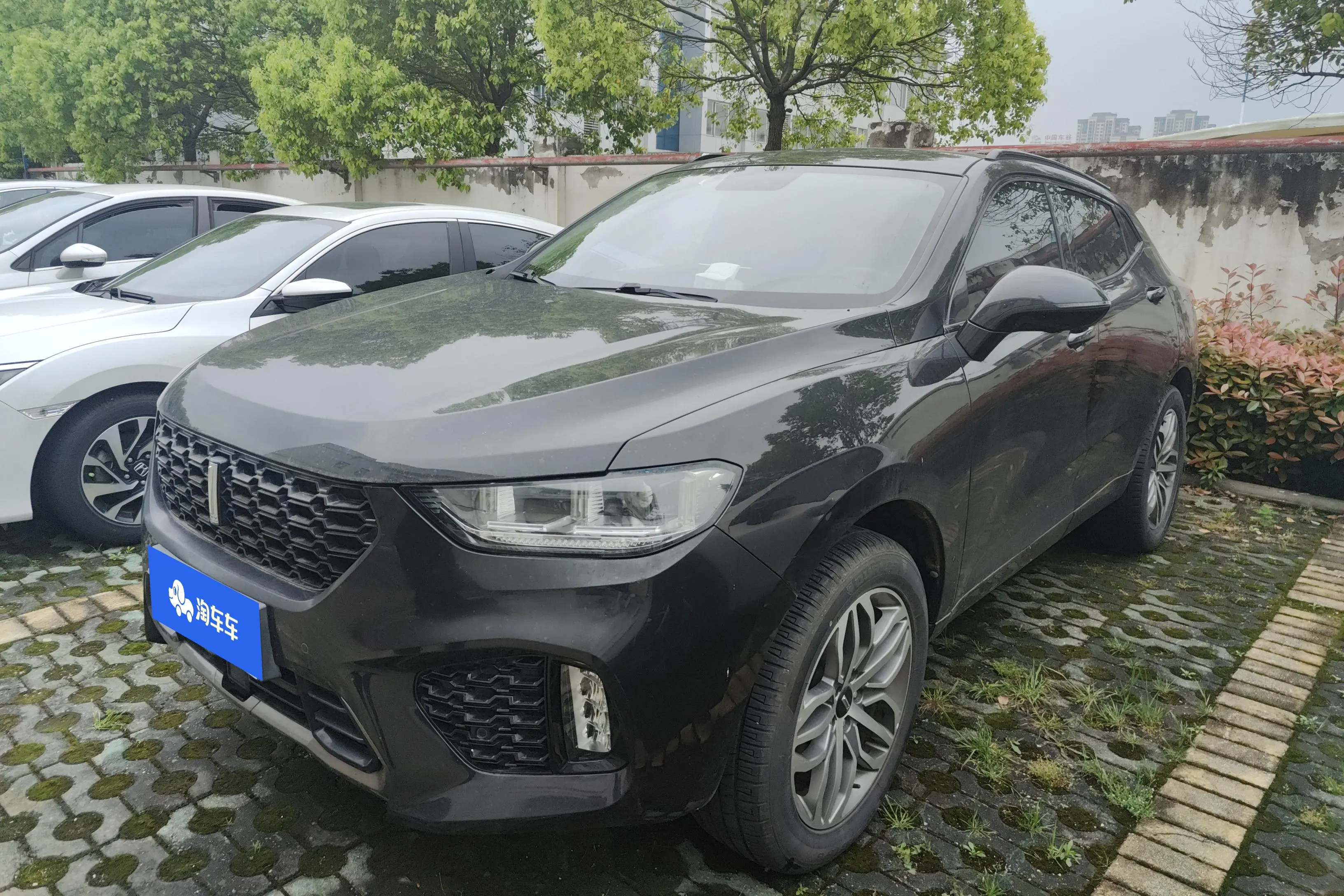 Wey Wei brand VV5