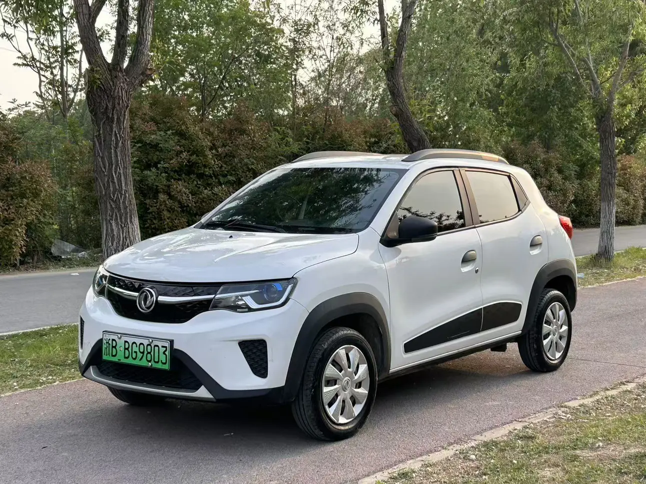 Dongfeng Nano EX1