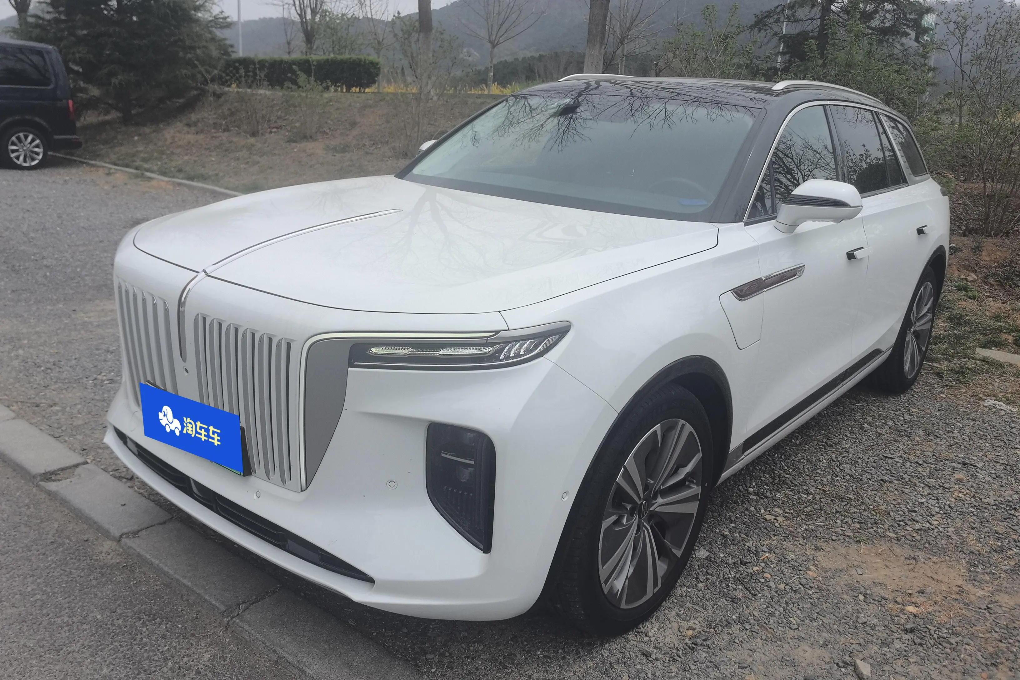 Hongqi E-HS9